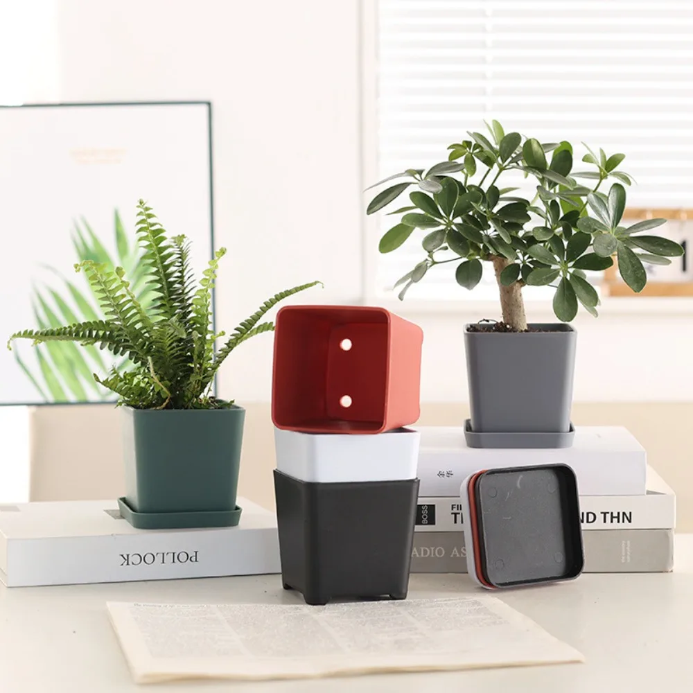 3 set Home Decoration Square Plastic Flower Pot with Tray Resin Succulent Plant Pot Drain Hole Nordic Nursery Pot Balcony
3 set Home Decoration Square Plastic Flower Pot with Tray Resin Succulent Plant Pot Drain Hole Nordic Nursery Pot Balcony