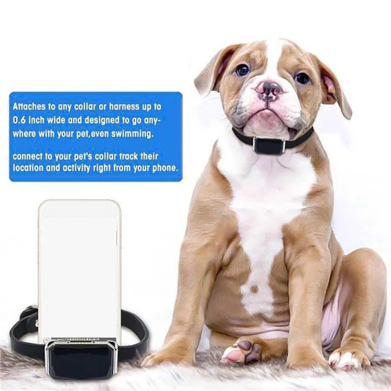 【BRAND NEW】2X G12 GPS Smart Pet Locator Universal Waterproof GPS Location Collar For Cats And Dogs Positioning Tracker Locating
【BRAND NEW】2X G12 GPS Smart Pet Locator Universal Waterproof GPS Location Collar For Cats And Dogs Positioning Tracker Locating