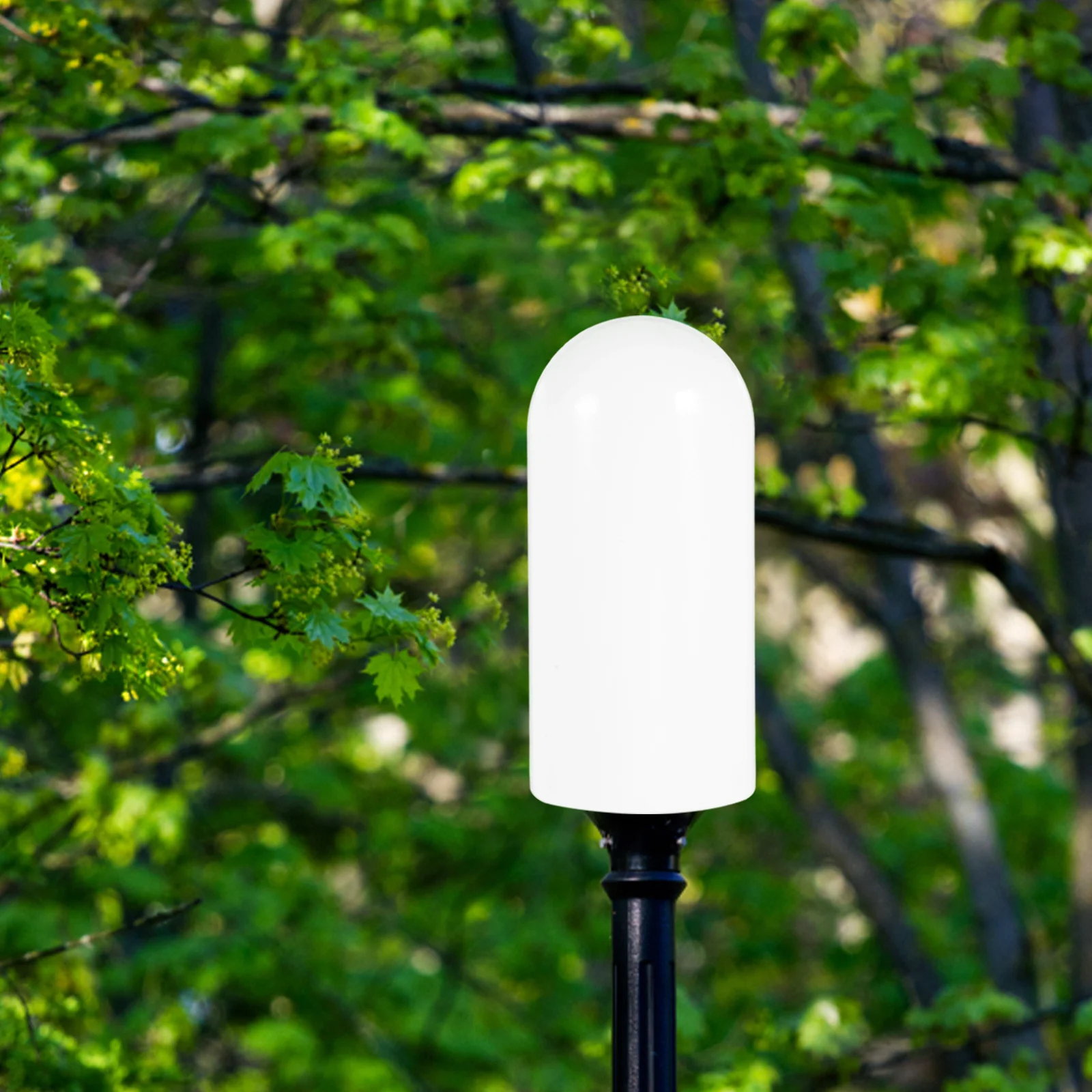 Outdoor Acrylic 6.5cm Screw Mouth Globe Lamp Shade Decorative Replacement Light Cover Patio Garden Lamp Fixture Shield
Outdoor Acrylic 6.5cm Screw Mouth Globe Lamp Shade Decorative Replacement Light Cover Patio Garden Lamp Fixture Shield