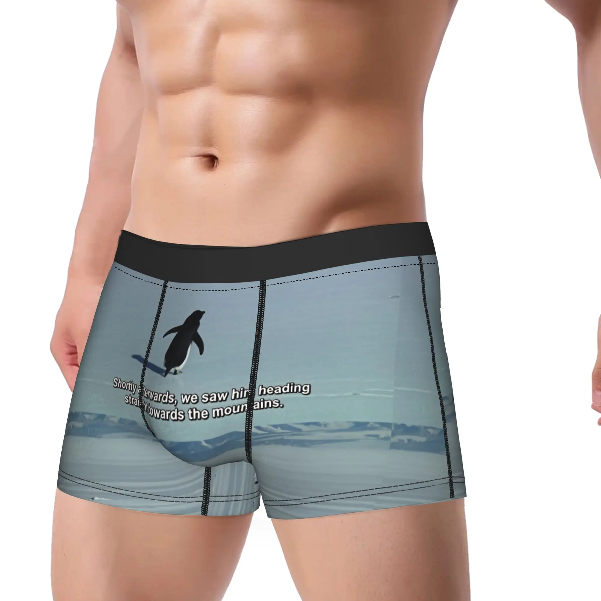 Трусы-боксеры Nihilist Penguin But Why, качественные мужские удобные трусы-шорты, дизайнерские трусы больших размеров
Трусы-боксеры Nihilist Penguin But Why, качественные мужские удобные трусы-шорты, дизайнерские трусы больших размеров