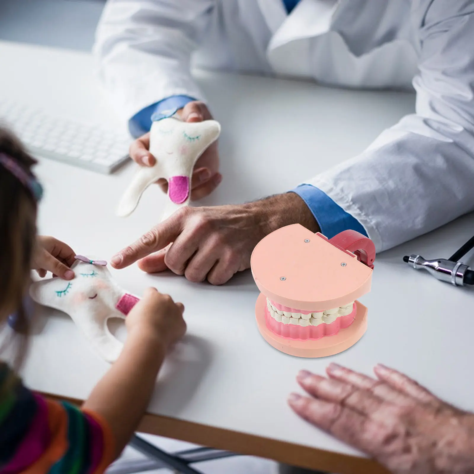 Children Dental Teaching Standard Tooth Structure Realistic Oral Education Science Experiment Kids Learning Aid
Children Dental Teaching Standard Tooth Structure Realistic Oral Education Science Experiment Kids Learning Aid