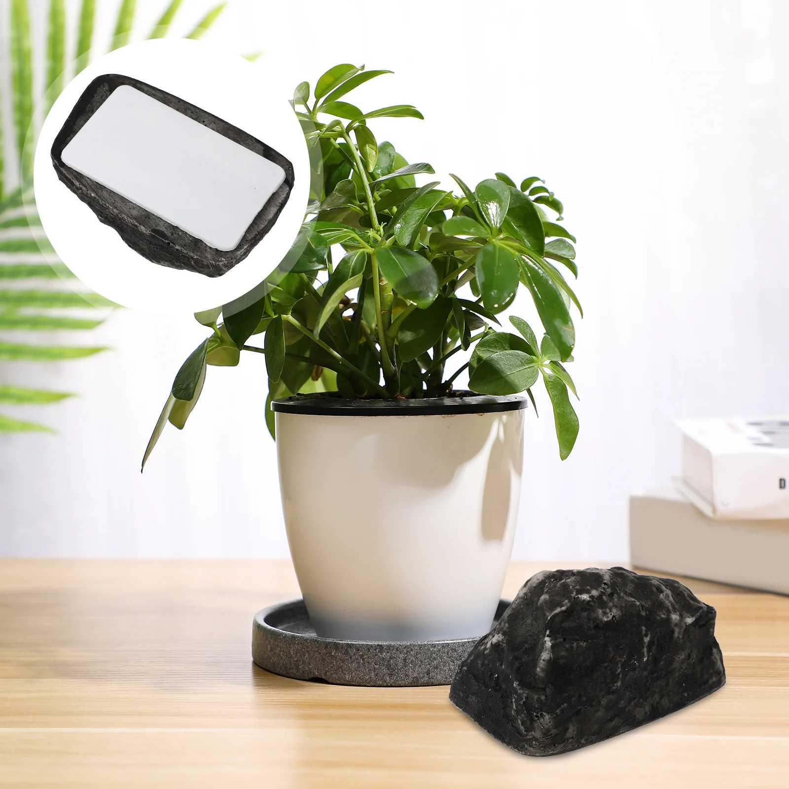 Outdoor Key Hider in Stone Design Weatherproof Resin Box for Hiding Spare Keys Garden Patio Doorstep Solution Hide A Key
Outdoor Key Hider in Stone Design Weatherproof Resin Box for Hiding Spare Keys Garden Patio Doorstep Solution Hide A Key