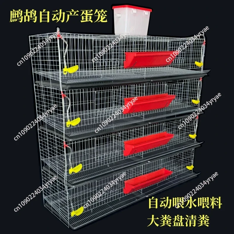 H-shaped vertical egg-laying quail cage can automatically clear manure, feed and drink water bold
H-shaped vertical egg-laying quail cage can automatically clear manure, feed and drink water bold