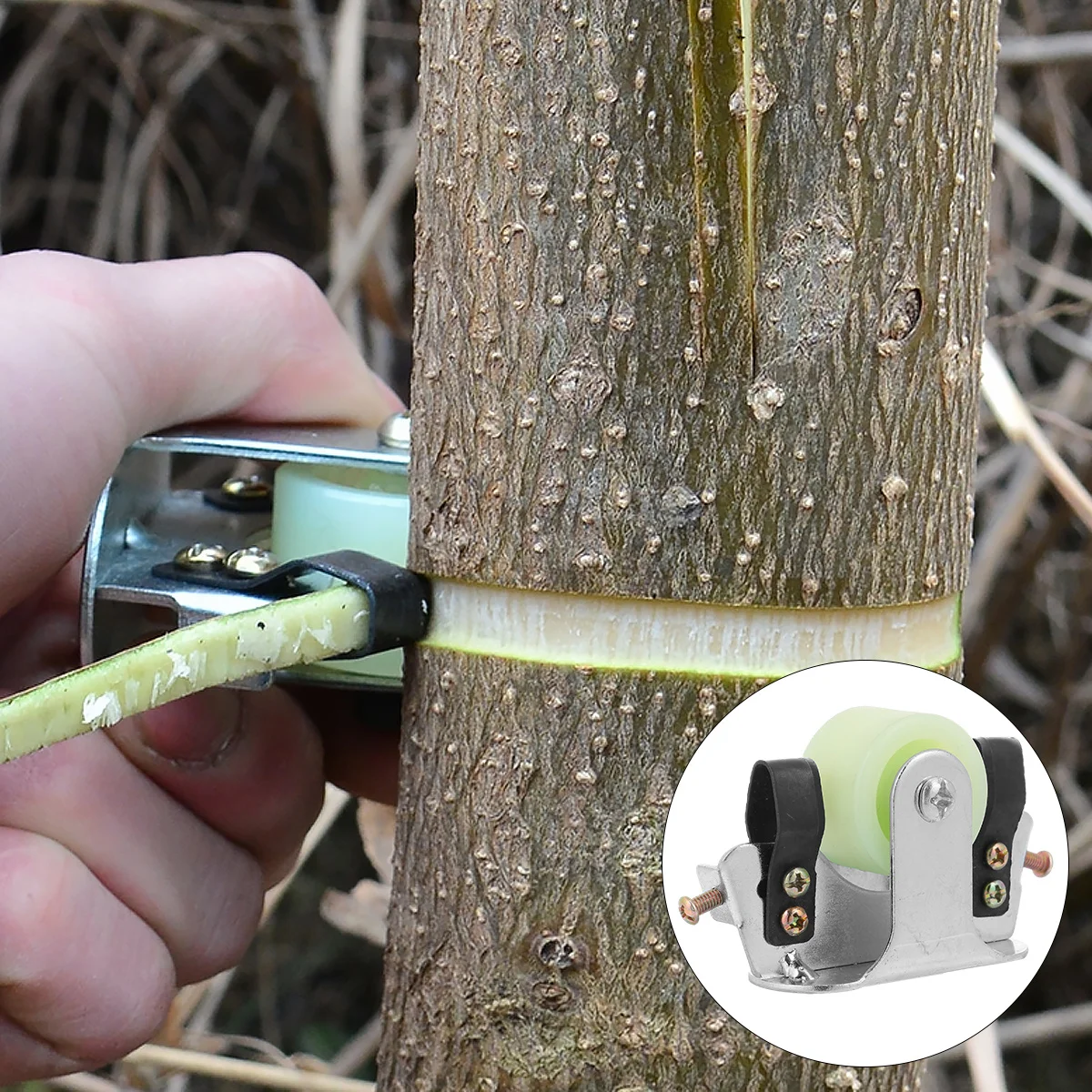Bark Tree Stripping Cutter Girdling Cutter for Fruit Tree Orchard Peeling Pruning Tool Wood Peeler Peeling Pruning Tool
Bark Tree Stripping Cutter Girdling Cutter for Fruit Tree Orchard Peeling Pruning Tool Wood Peeler Peeling Pruning Tool