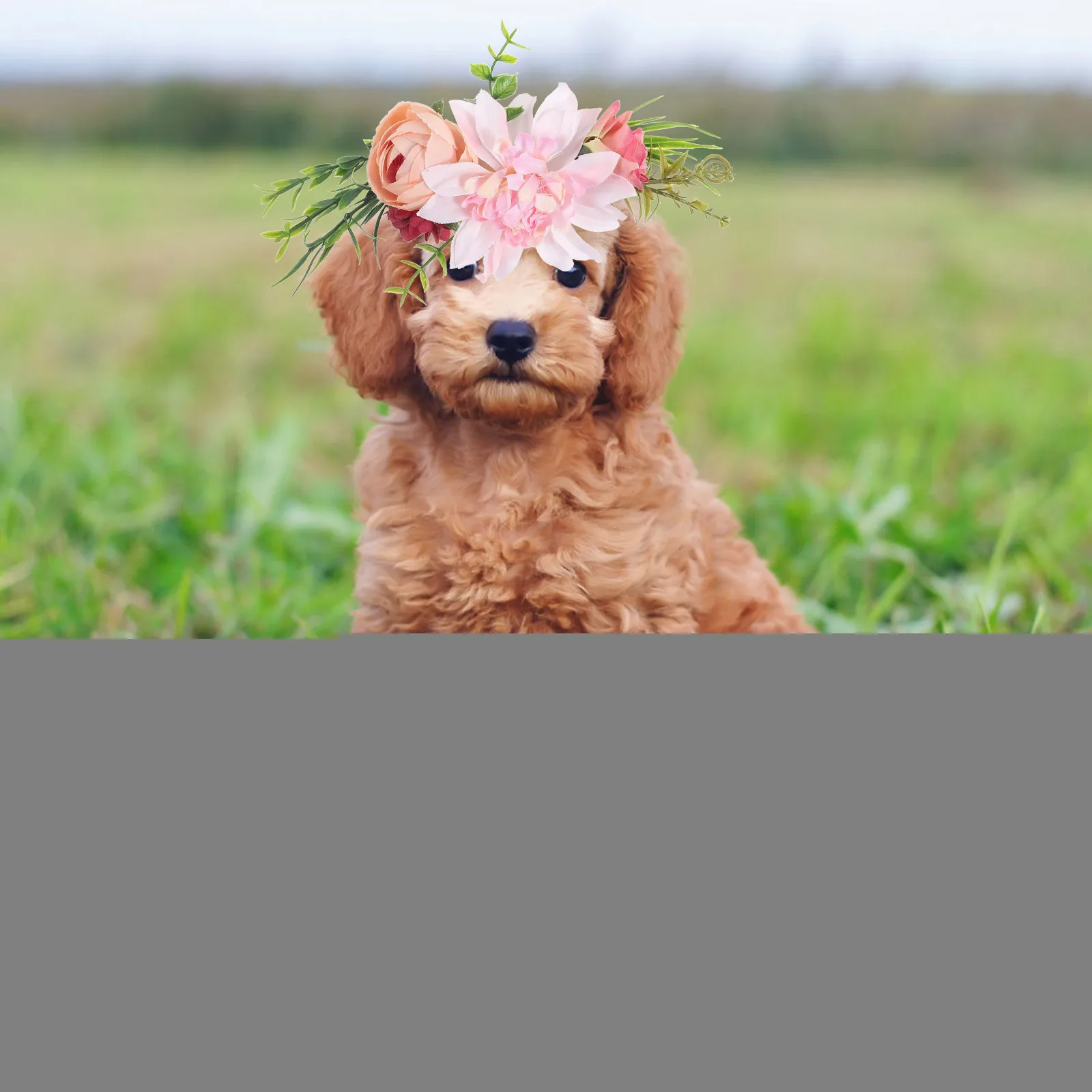 Artificial Flower Wreath Pet Headwear Wreath Adjustable Stylish Accessories Dog Dress Dog Dress Up Up Pet Supplies
Artificial Flower Wreath Pet Headwear Wreath Adjustable Stylish Accessories Dog Dress Dog Dress Up Up Pet Supplies
