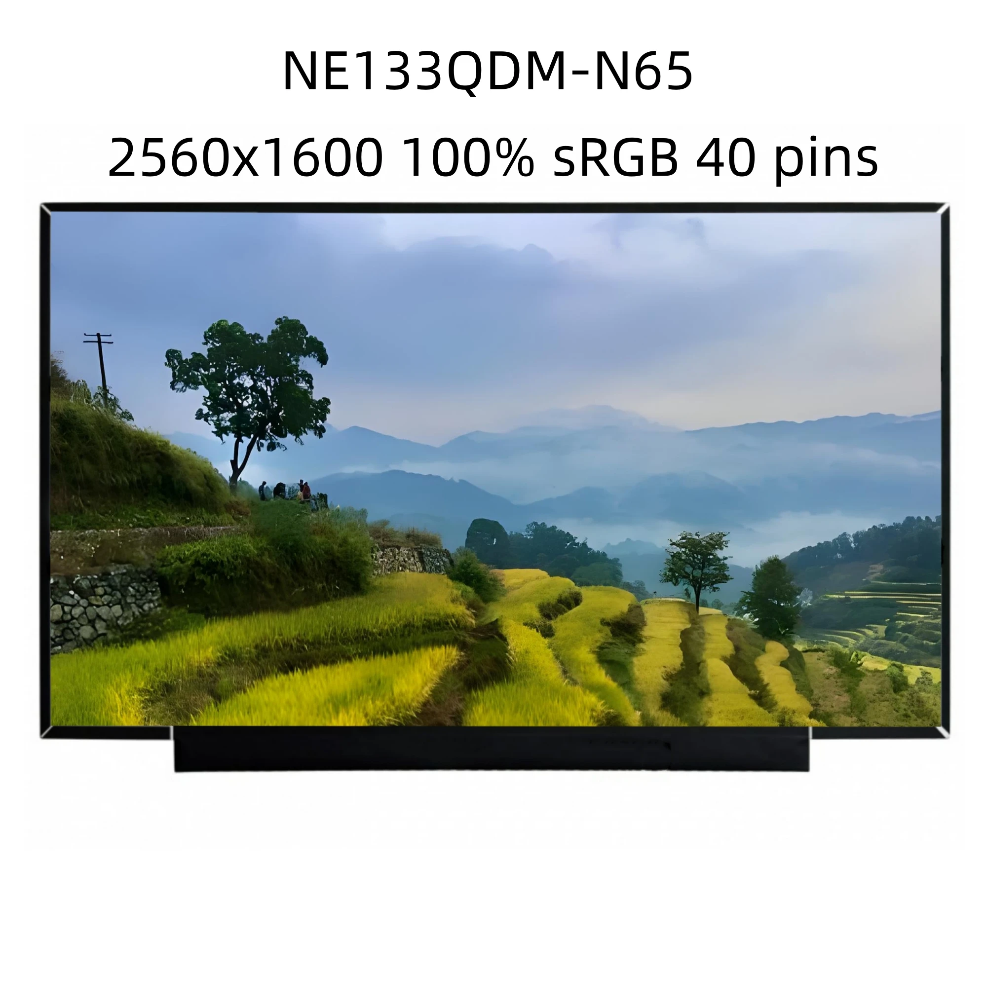 NE133QDM-N65 13.3 inch 2560x1600 40pins LCD LED Screen Panel Matrix
NE133QDM-N65 13.3 inch 2560x1600 40pins LCD LED Screen Panel Matrix
