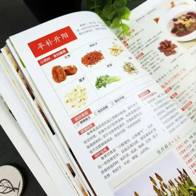 New 256 Delicious Health Soups & 98 Kinds of Health Food Ingredients Chinese Medicine Soups Book Recipe Book Chinese Version
New 256 Delicious Health Soups & 98 Kinds of Health Food Ingredients Chinese Medicine Soups Book Recipe Book Chinese Version