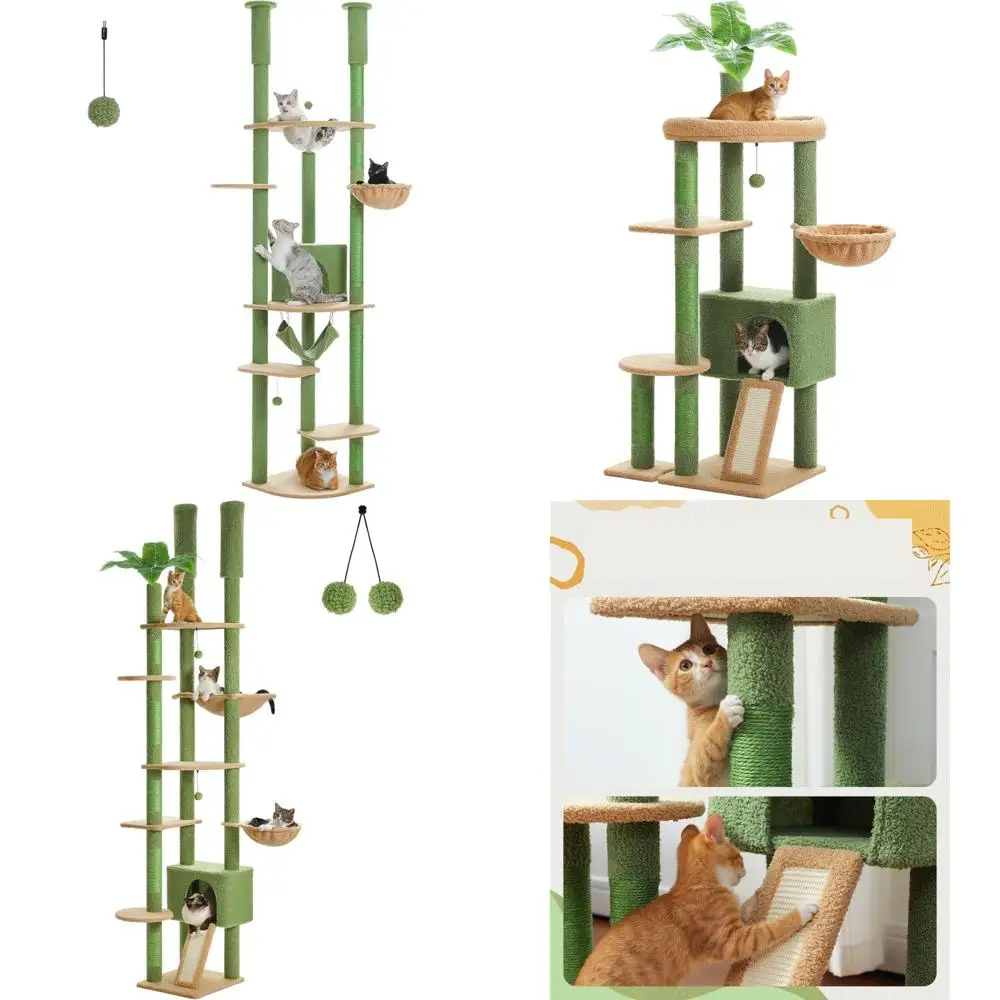 Роскошный домашний кондоминированный кот с тематикой кактуса для времени игр (93-101 дюймов)
Роскошный домашний кондоминированный кот с тематикой кактуса для времени игр (93-101 дюймов)