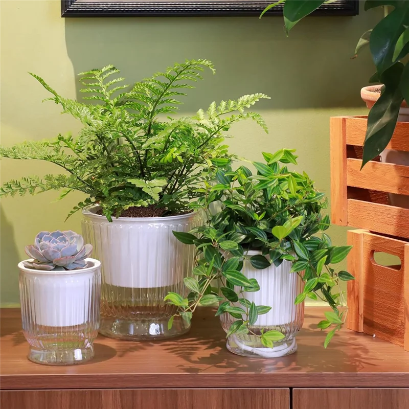 AB33-Self Watering Plant Pots, 4 Inch Small Plant Pots, Self Watering Planter With Deep Reservoir, Flower Pots 4 Pack
AB33-Self Watering Plant Pots, 4 Inch Small Plant Pots, Self Watering Planter With Deep Reservoir, Flower Pots 4 Pack