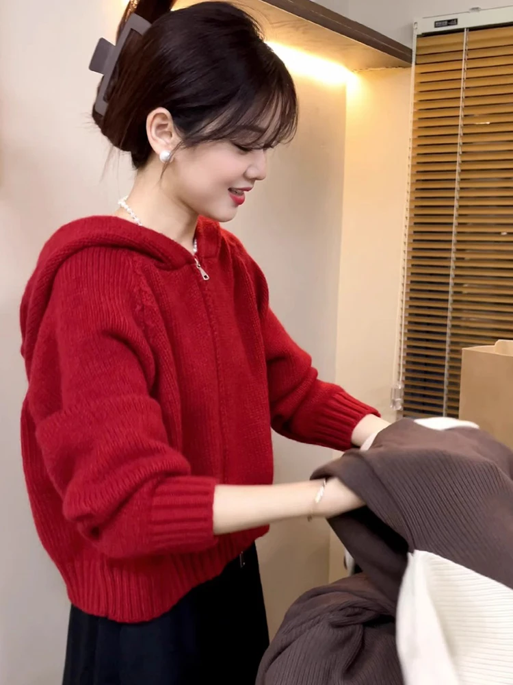 Korean Style Short Hooded Knitwear Double Zipper Open Cardigan Fashionable New Year Red Autumn Winter Casual Comfortable Sweater
Korean Style Short Hooded Knitwear Double Zipper Open Cardigan Fashionable New Year Red Autumn Winter Casual Comfortable Sweater