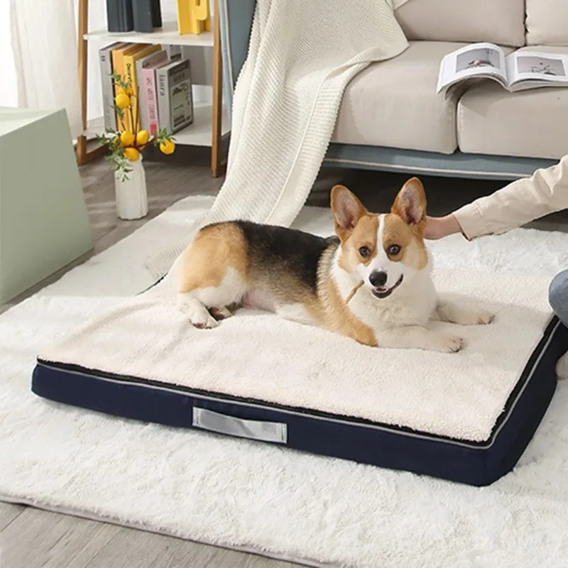 All-season Removeable Dog Bed for Large Dog Cushion Spring Soft Velvet Cat Bed Cat Cushion Partable Pet Bed
All-season Removeable Dog Bed for Large Dog Cushion Spring Soft Velvet Cat Bed Cat Cushion Partable Pet Bed
