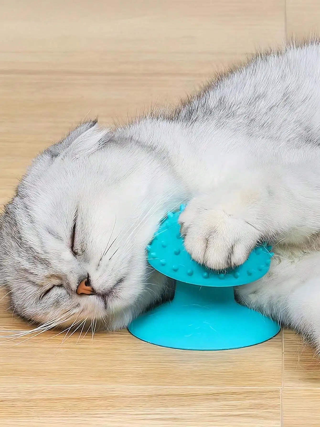 1pc Popular European And American Pet Cat Suction Cup Scratching Hair Remover, Cat Massage Tool, Cat Toy, Suction Cup Massager B
1pc Popular European And American Pet Cat Suction Cup Scratching Hair Remover, Cat Massage Tool, Cat Toy, Suction Cup Massager B