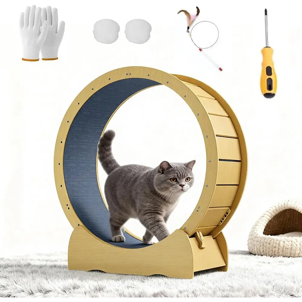 41, беговая дорожка для упражнений для кошек, массив дерева, запираемая, без зазоров, со съемной ковровой дорожкой
41, беговая дорожка для упражнений для кошек, массив дерева, запираемая, без зазоров, со съемной ковровой дорожкой