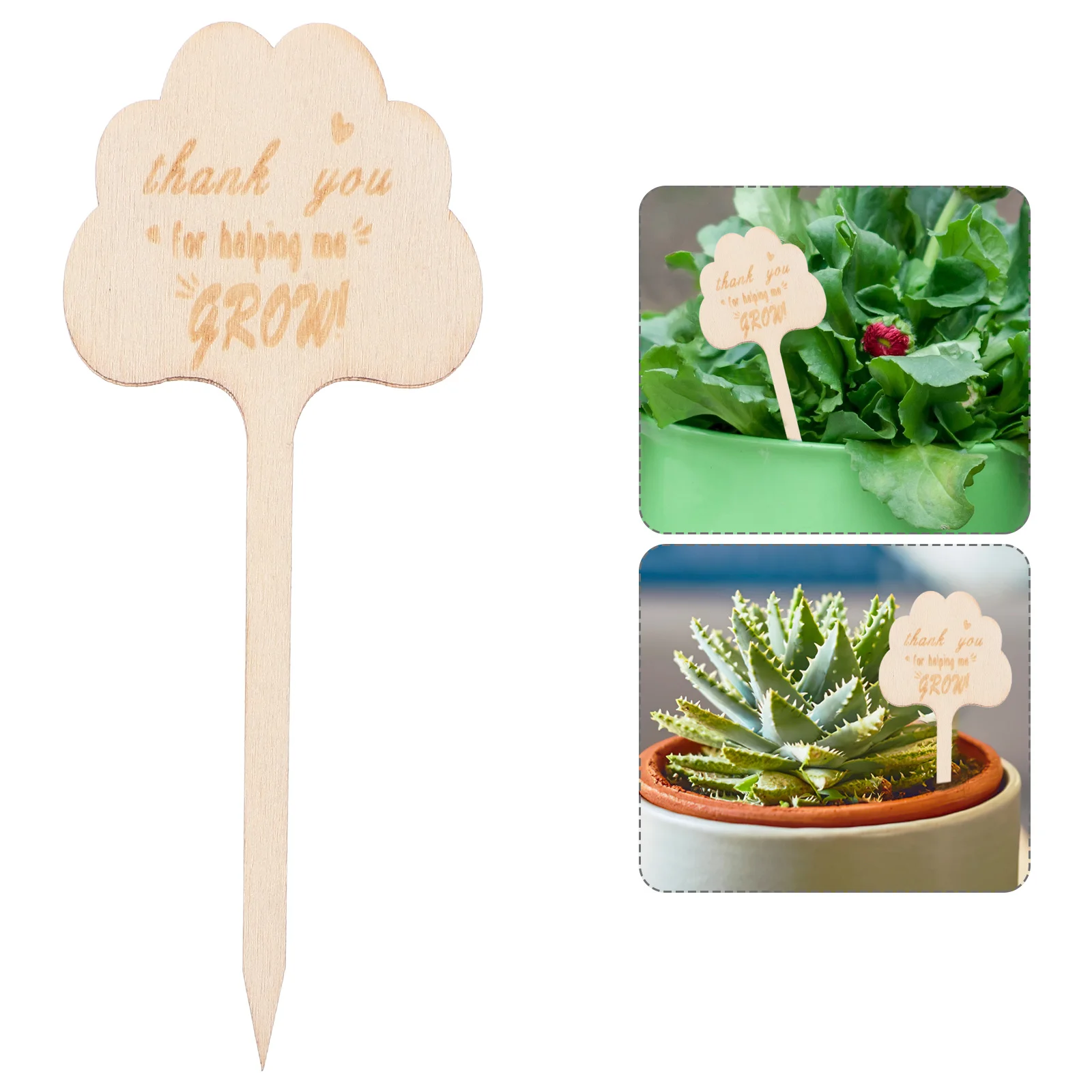 25Pcs Bamboo Garden Markers Wooden Plant Labels for Succulents Herbs Flowers Thank You for Helping Me Grow Plant Tags
25Pcs Bamboo Garden Markers Wooden Plant Labels for Succulents Herbs Flowers Thank You for Helping Me Grow Plant Tags