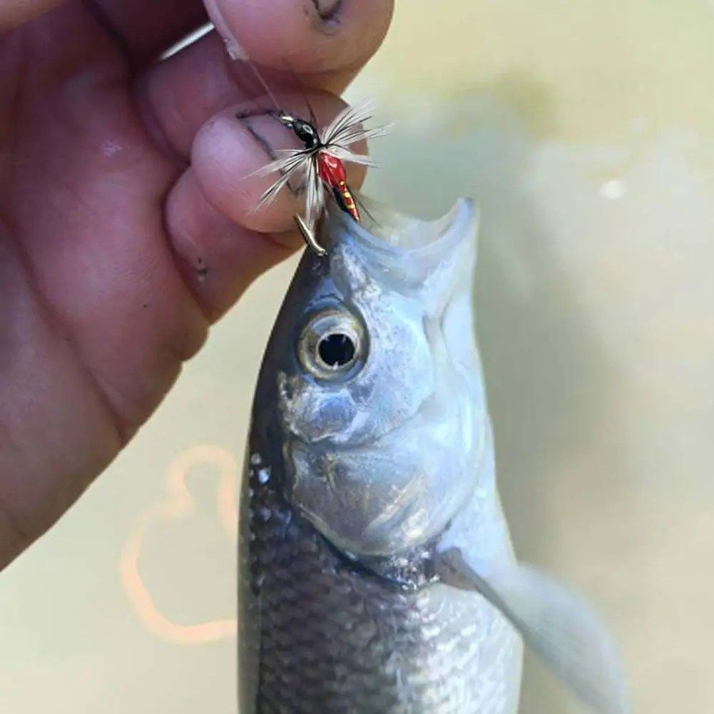 Fly Fishing Flies Hooks Fly Lure Artificial Fly Baits Hand-tied Flies Nymphs Fishing for Trout Salmon Steelhead Grayling R8Y8
Fly Fishing Flies Hooks Fly Lure Artificial Fly Baits Hand-tied Flies Nymphs Fishing for Trout Salmon Steelhead Grayling R8Y8