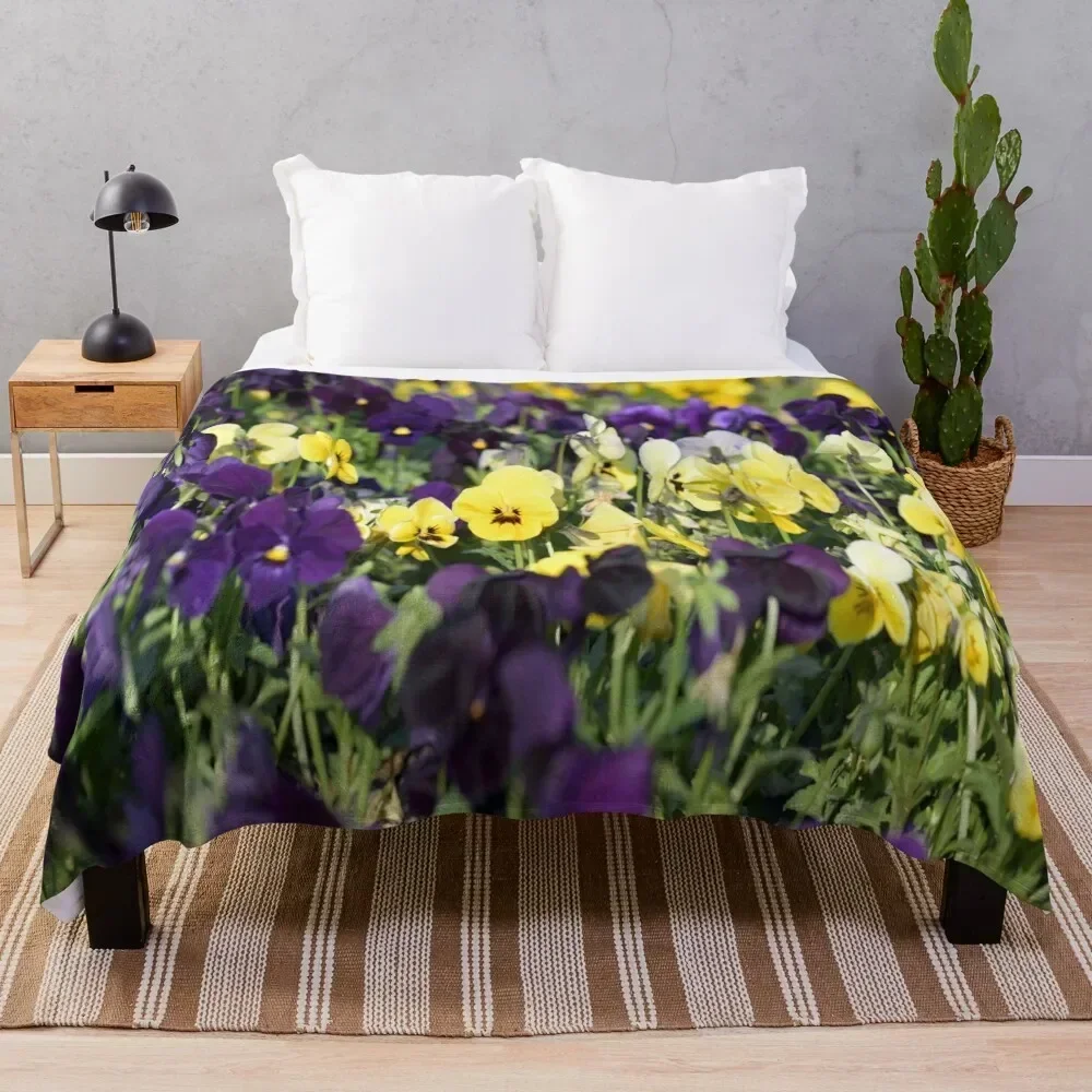 Yellow and purple violets Throw Blanket Soft Bedroom Blanket for Night Sleeping
Yellow and purple violets Throw Blanket Soft Bedroom Blanket for Night Sleeping