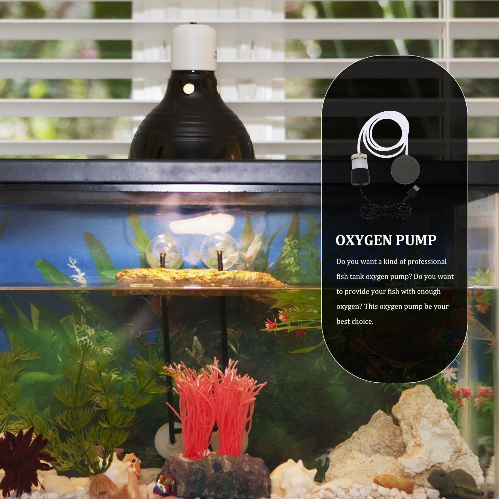 1Set Sturdy Oxygen Pump for Fish Tank Easy Operate Portable Aquarium Aerator Mini USB Home Supplies Oxygen Air Pump
1Set Sturdy Oxygen Pump for Fish Tank Easy Operate Portable Aquarium Aerator Mini USB Home Supplies Oxygen Air Pump