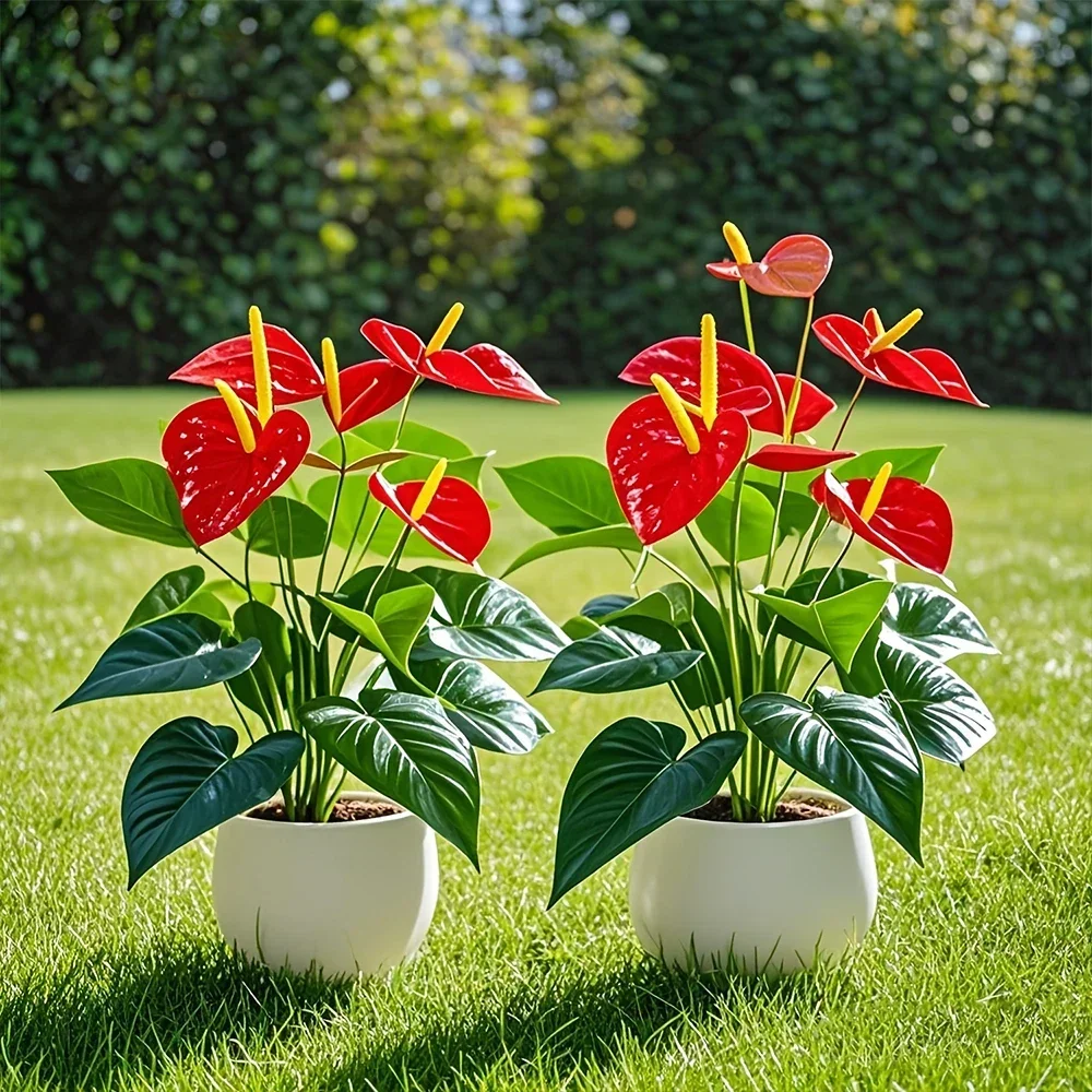 12-Headed Red Palm Artificial Flowers Flamingo Flower with Lush Green Leaves Fake Plants for Room Garden Outdoor Decoration
12-Headed Red Palm Artificial Flowers Flamingo Flower with Lush Green Leaves Fake Plants for Room Garden Outdoor Decoration