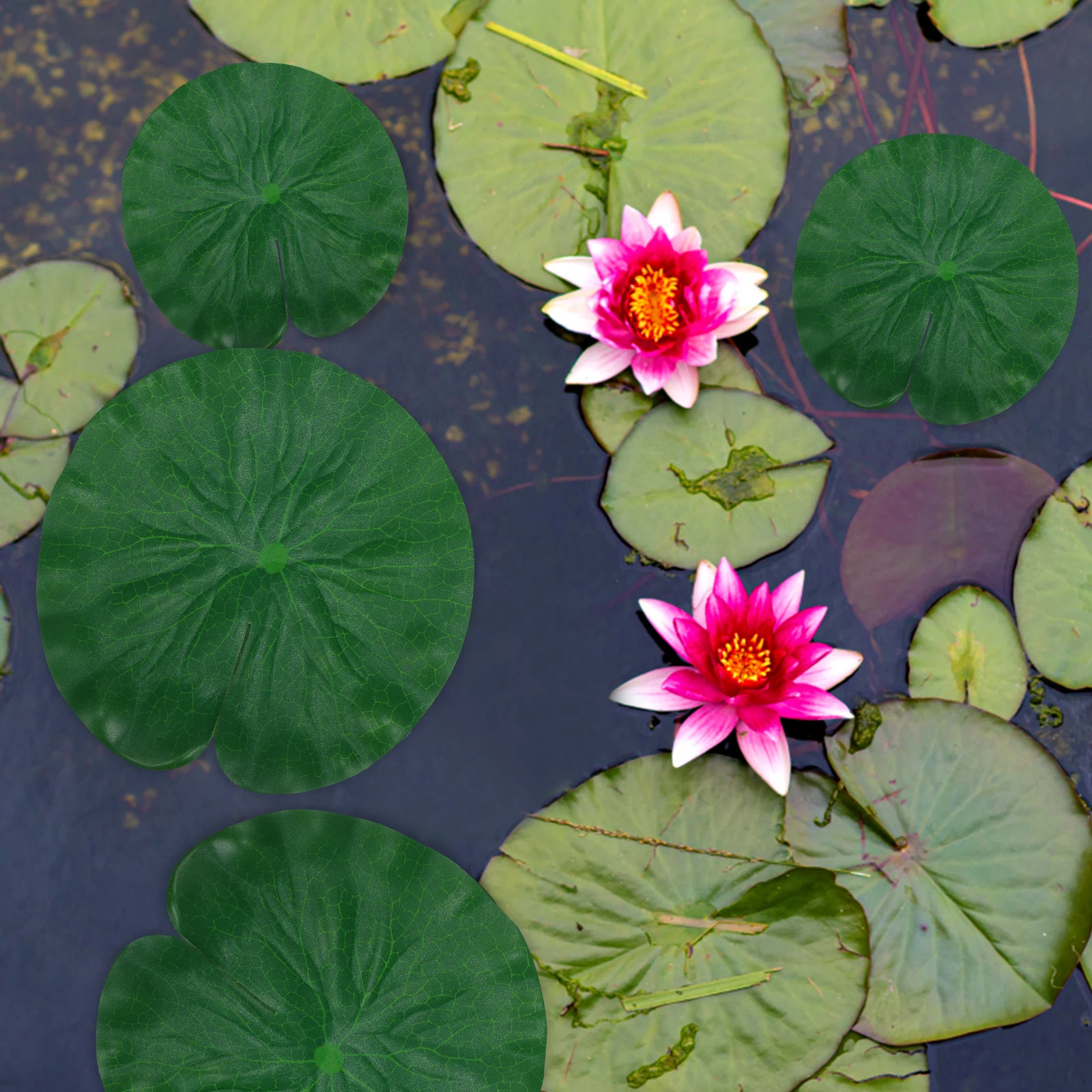 16 pcs 10cm 15cm Simulated Lotus-Leaf 17cm 20cm EVA Floating Decoration for Pond Aquarium Garden Pool
16 pcs 10cm 15cm Simulated Lotus-Leaf 17cm 20cm EVA Floating Decoration for Pond Aquarium Garden Pool