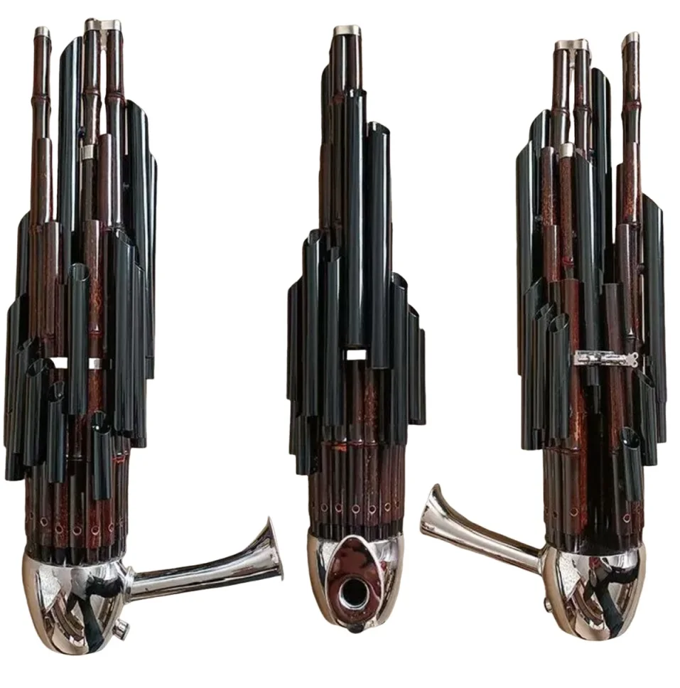 Sheng 21 springs With black amplification tube purple bamboo Chinese woodwind instruments
Sheng 21 springs With black amplification tube purple bamboo Chinese woodwind instruments