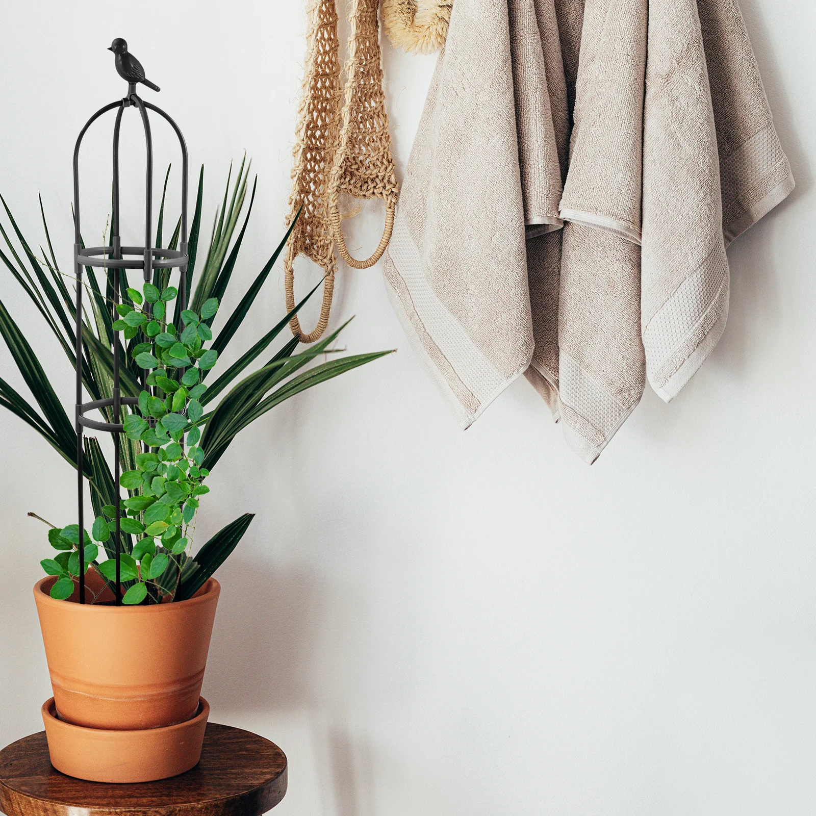 1 set Plant Vine Support Rack Durable Climbing Tool For Indoor Outdoor Garden Pole Structure Easy Install Detachable Gardening
1 set Plant Vine Support Rack Durable Climbing Tool For Indoor Outdoor Garden Pole Structure Easy Install Detachable Gardening