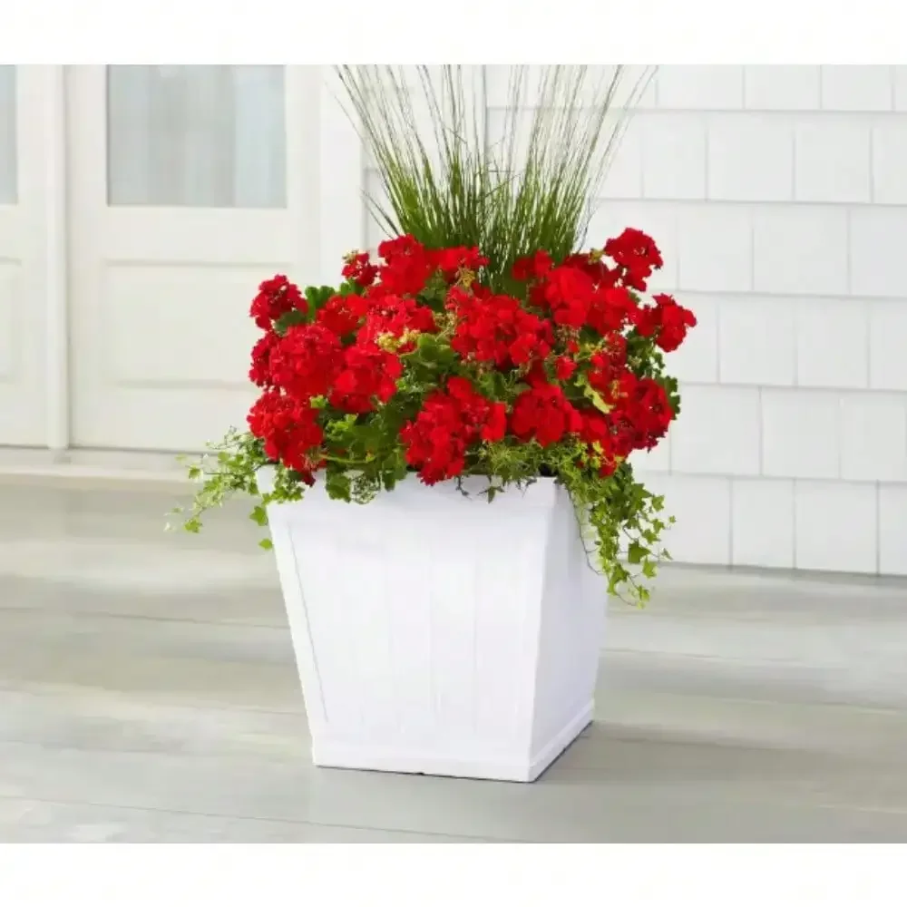 Plant Pots. Weather-resistant design, resistant to fading and cracking. Made from high-density resin for enhanced durability
Plant Pots. Weather-resistant design, resistant to fading and cracking. Made from high-density resin for enhanced durability