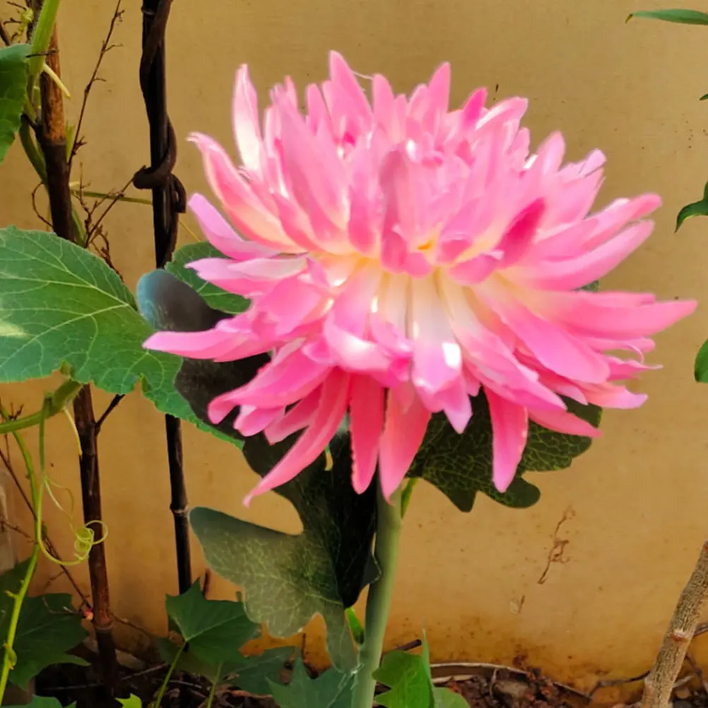 2 Pcs Chrysanthemum LED Solar Light Outdoor Garden Lamp Yard Lawn Light Pink White Decorative Lamp Solar Energy Long Life
2 Pcs Chrysanthemum LED Solar Light Outdoor Garden Lamp Yard Lawn Light Pink White Decorative Lamp Solar Energy Long Life