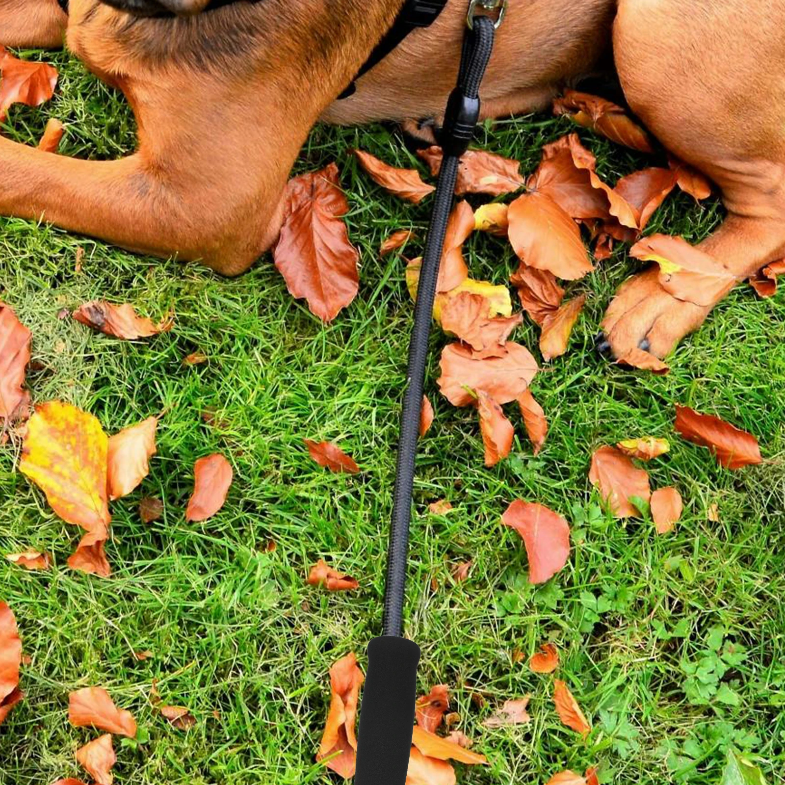 6pcs Dog Leash Sponge Handle Cover Pet Leash Accessories Black Durable Wear Resistant Cat Dog Traction Rope Handbar
6pcs Dog Leash Sponge Handle Cover Pet Leash Accessories Black Durable Wear Resistant Cat Dog Traction Rope Handbar