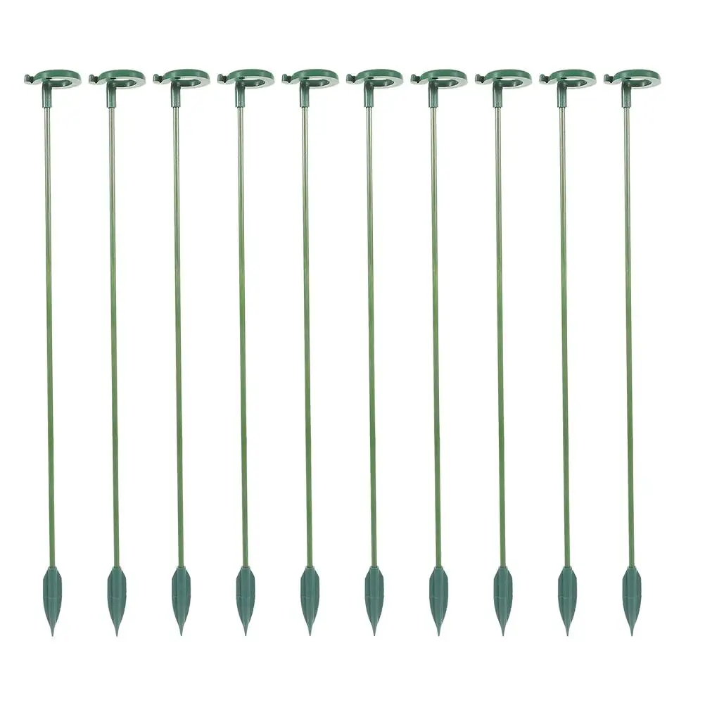 12 Pcs Plants Succulent Phalaenopsis Stand Support Stakes for Indoor Modeling Sticks Green
12 Pcs Plants Succulent Phalaenopsis Stand Support Stakes for Indoor Modeling Sticks Green