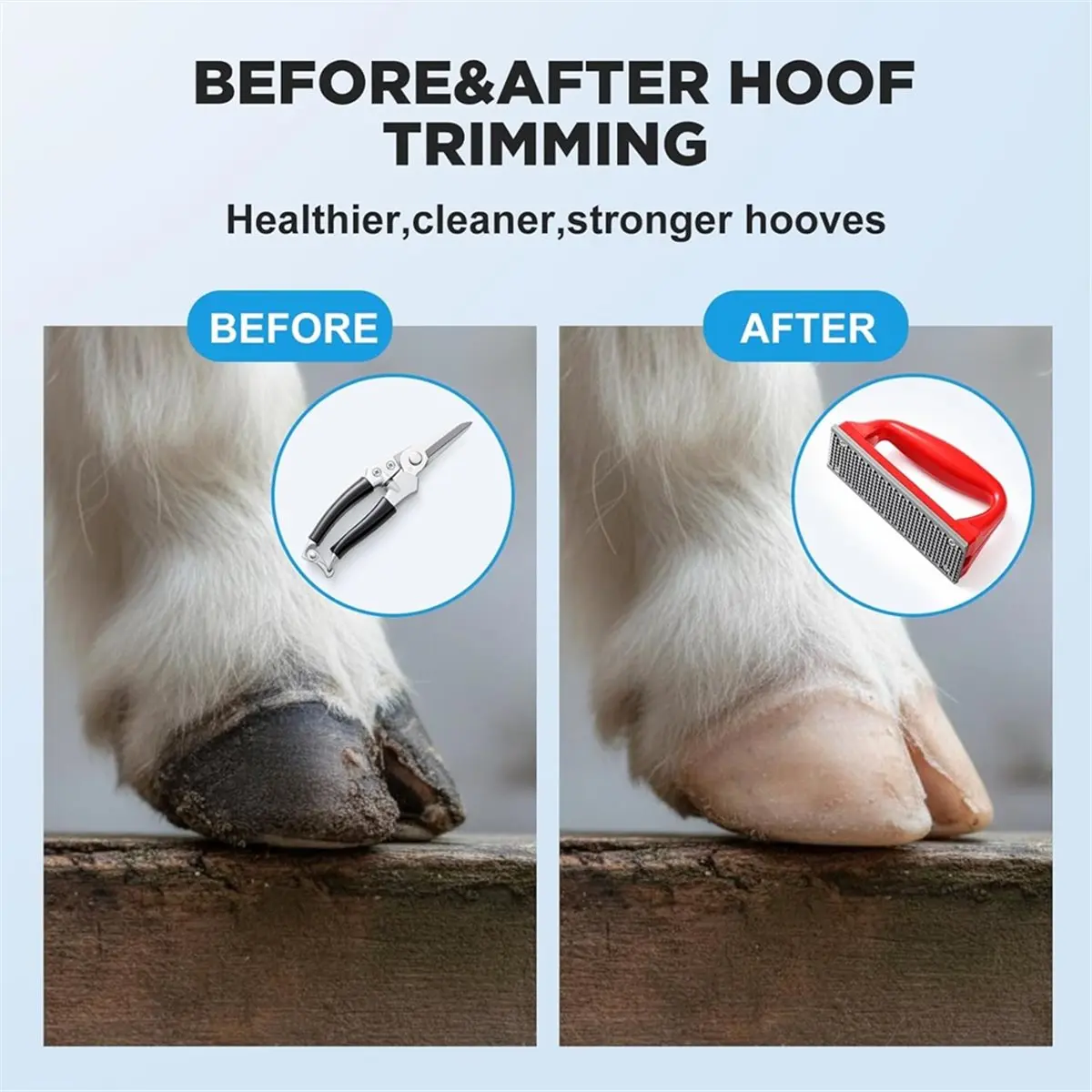 Goat Hoof Trimmers and Rasp Kit, Hoof Trimmers for Goats and Sheep Trimming, Farrier Supplies for ,Ponies Donkeys
Goat Hoof Trimmers and Rasp Kit, Hoof Trimmers for Goats and Sheep Trimming, Farrier Supplies for ,Ponies Donkeys