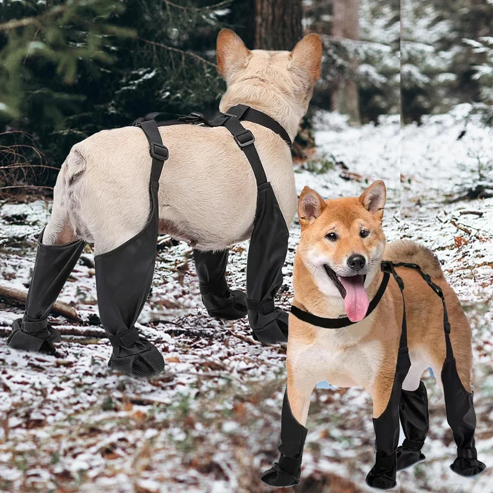 2025 лучшая противоскользящая обувь для собак, непромокаемые пинетки с защитой лап домашних животных, грязезащитные и противоскользящие уличные носки на подтяжках
2025 лучшая противоскользящая обувь для собак, непромокаемые пинетки с защитой лап домашних животных, грязезащитные и противоскользящие уличные носки на подтяжках