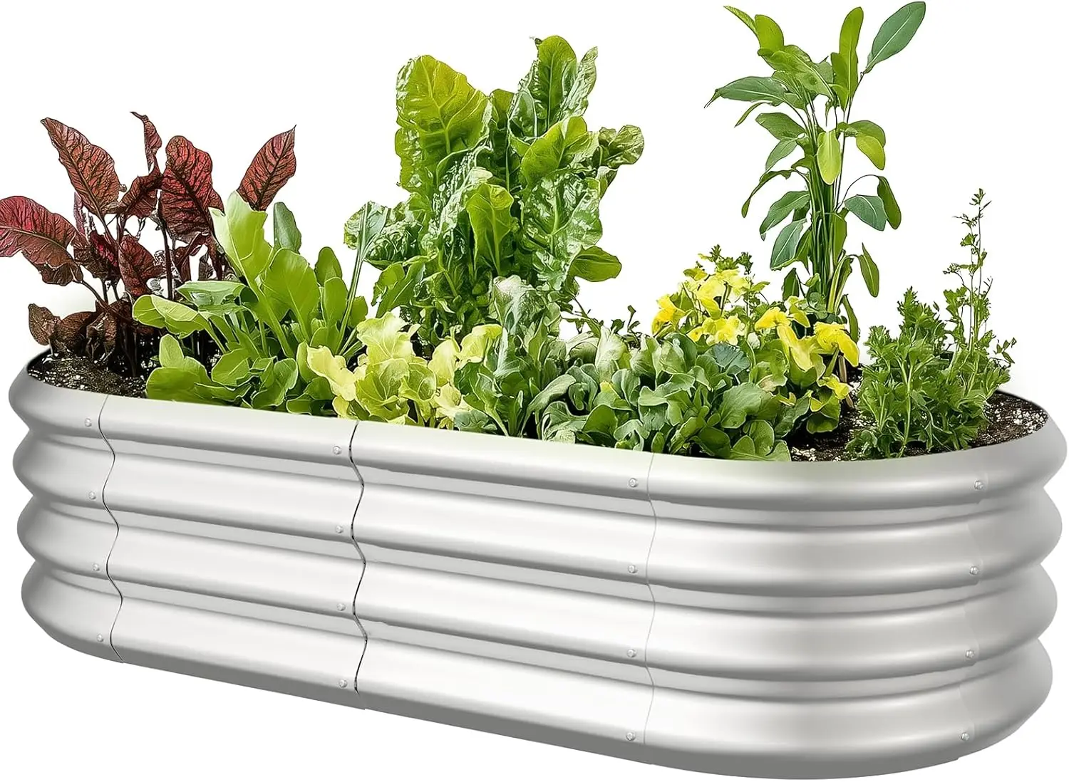4x2x1ft Oval Galvanized Raised Garden Bed Outdoor 9-in-1 Large Metal Modular Planter Box Raised Beds for Gardening,Vegetables,Fr
4x2x1ft Oval Galvanized Raised Garden Bed Outdoor 9-in-1 Large Metal Modular Planter Box Raised Beds for Gardening,Vegetables,Fr