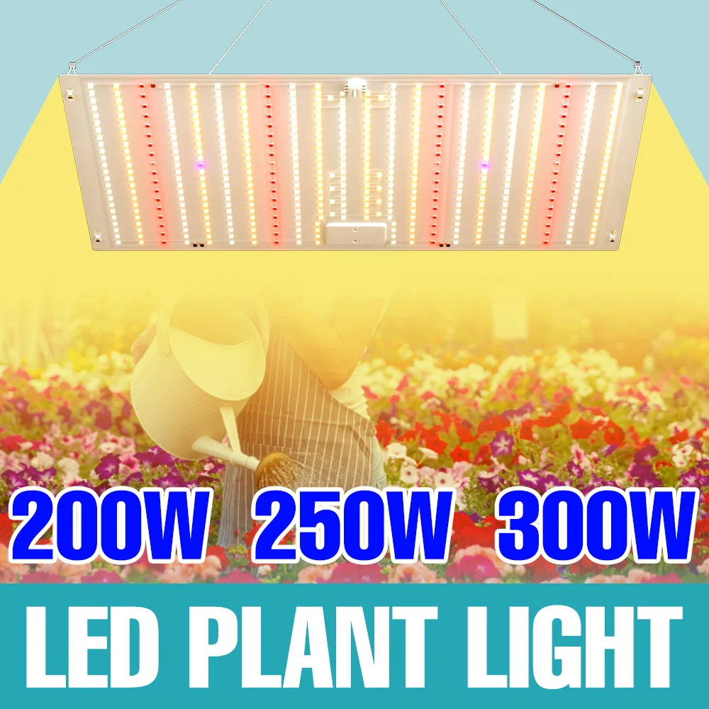 300W Full Spectrum LED Grow Light 110V Quantum Board Seeding Planting Fill Lamp Greenhouse Tent Vegs Fruits Cultivation Lighting
300W Full Spectrum LED Grow Light 110V Quantum Board Seeding Planting Fill Lamp Greenhouse Tent Vegs Fruits Cultivation Lighting