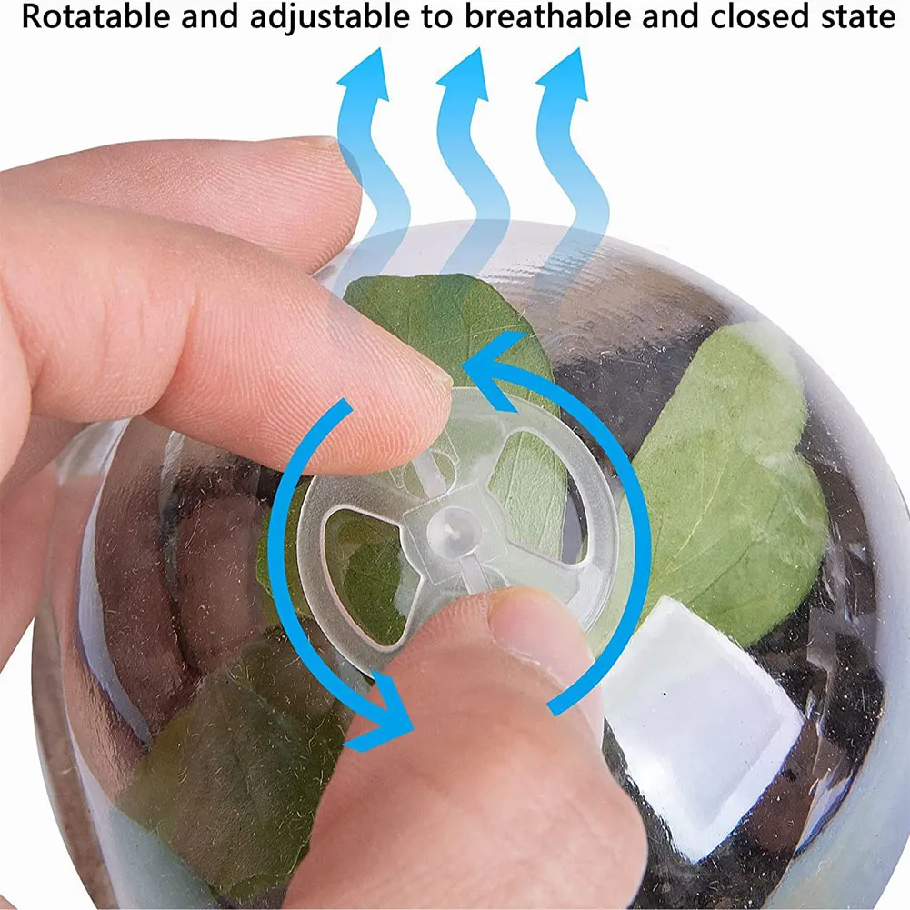 10 шт., стартовая чашка для рассады, прозрачная крышка, горшок для выращивания, биоразлагаемый горшок для проращивания, универсальные садовые принадлежности
10 шт., стартовая чашка для рассады, прозрачная крышка, горшок для выращивания, биоразлагаемый горшок для проращивания, универсальные садовые принадлежности