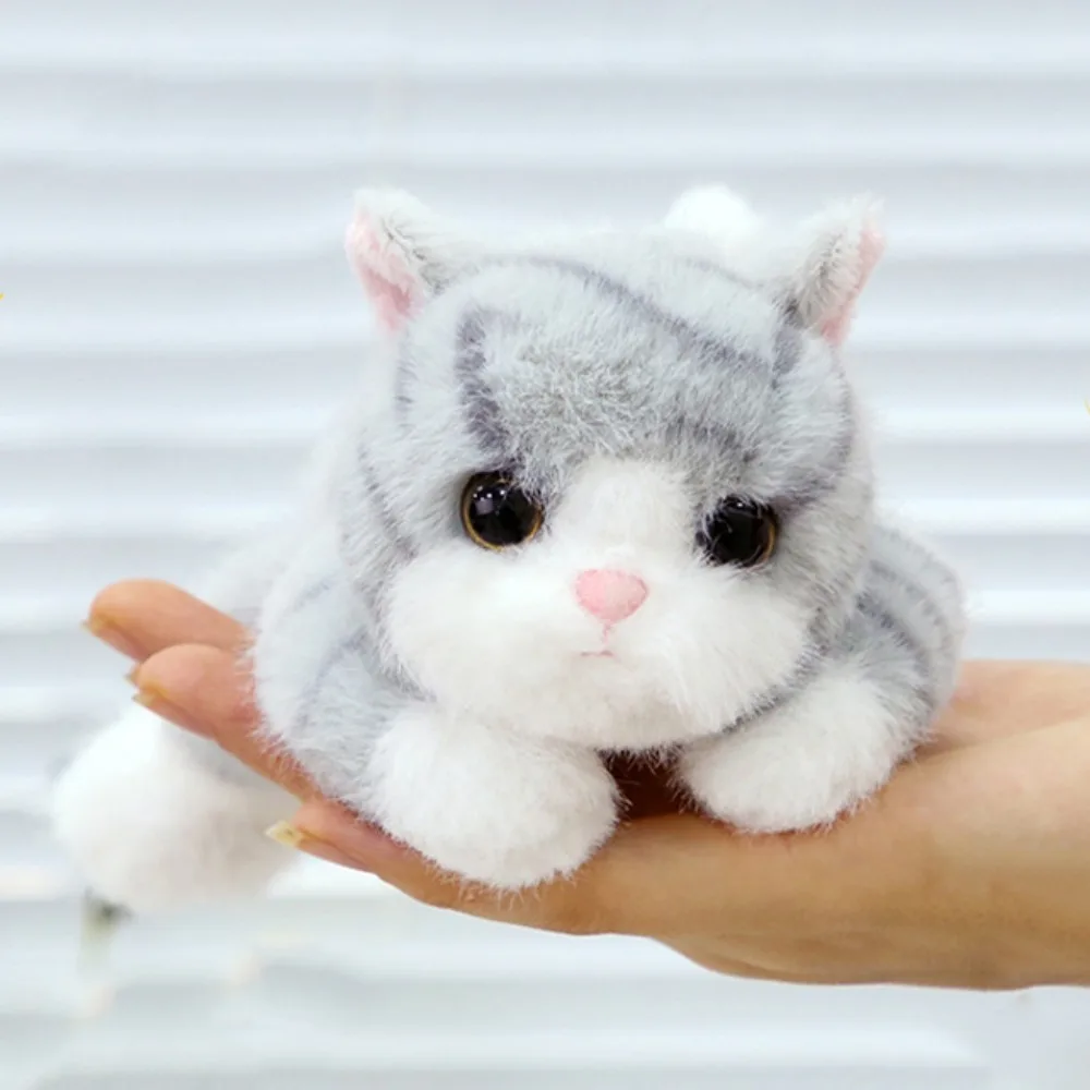 Marine Animal Tortoise Plush Toy Fluffy Collection Sea Turtle Stuffed Doll Ins Stuffed Little Cat Plush Doll
Marine Animal Tortoise Plush Toy Fluffy Collection Sea Turtle Stuffed Doll Ins Stuffed Little Cat Plush Doll