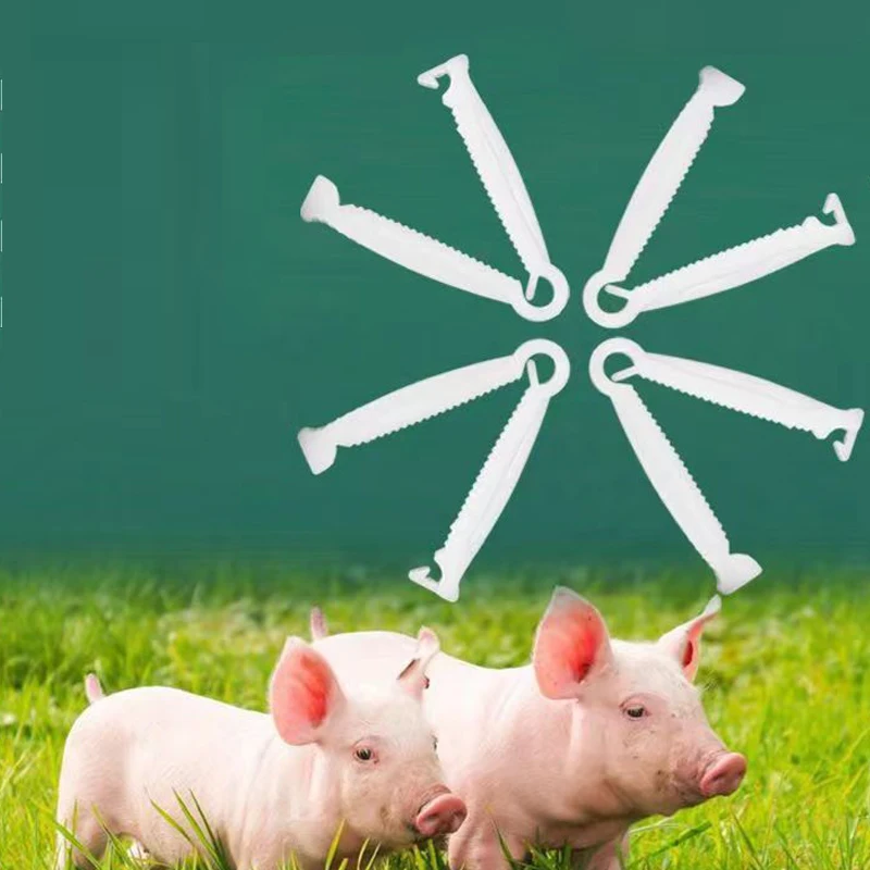 100pcs Disposable Whelping Kits Multipurpose Portable Practical Pig Umbilical Cord Clip for sheep Sheep Cow Farming Pigs
100pcs Disposable Whelping Kits Multipurpose Portable Practical Pig Umbilical Cord Clip for sheep Sheep Cow Farming Pigs