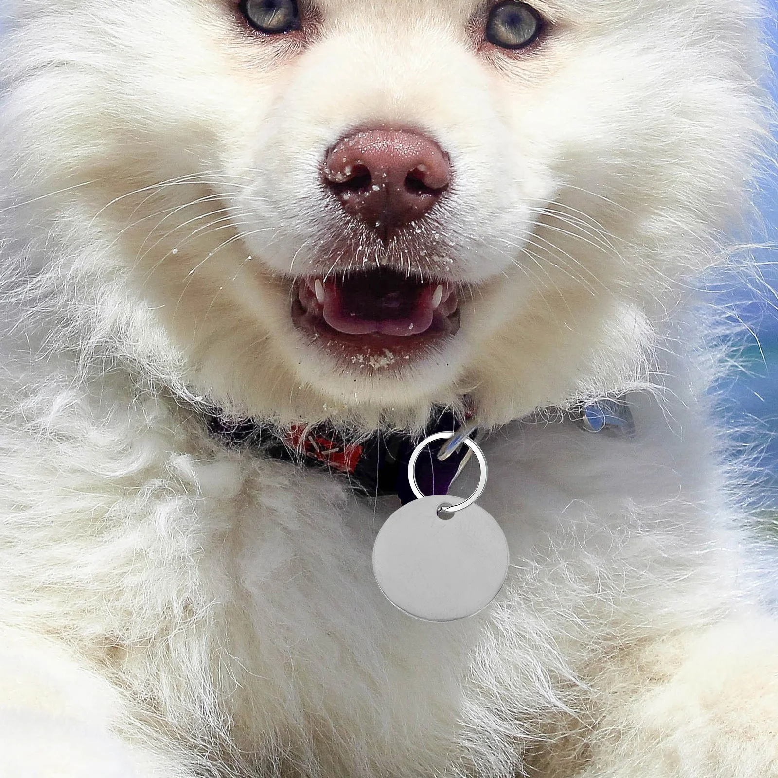 10 Stainless Steel Dog Tags Blank 20MM Pet ID Tag for DIY Engraving Stamping Pendant Puppy Accessories Metal Craft
10 Stainless Steel Dog Tags Blank 20MM Pet ID Tag for DIY Engraving Stamping Pendant Puppy Accessories Metal Craft