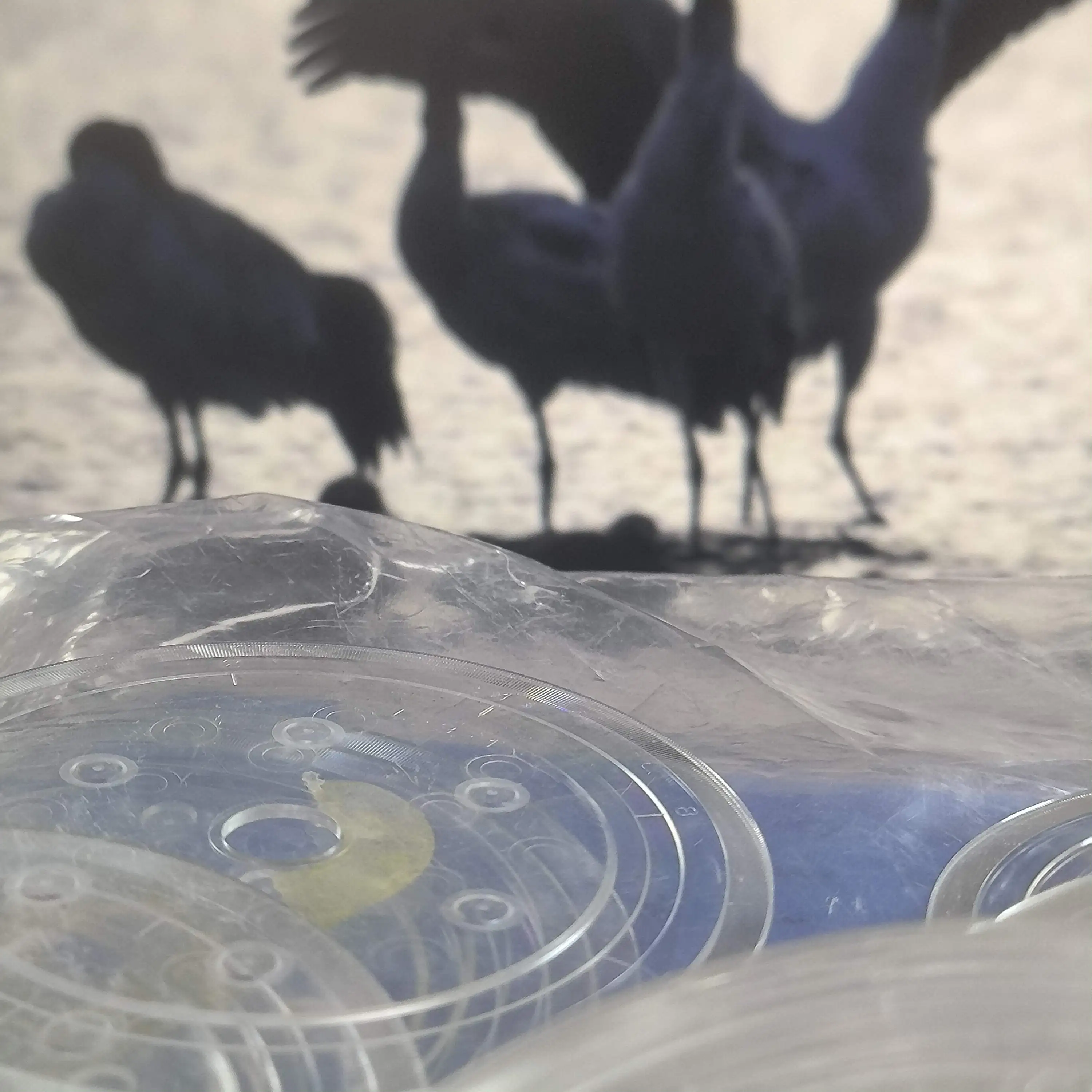 1X 1571785 для EPSON L1110 L3110 L3115 L3116 L3150 L3156 L5190 M1100 M1120 Диск синхронизации энкодера
1X 1571785 для EPSON L1110 L3110 L3115 L3116 L3150 L3156 L5190 M1100 M1120 Диск синхронизации энкодера