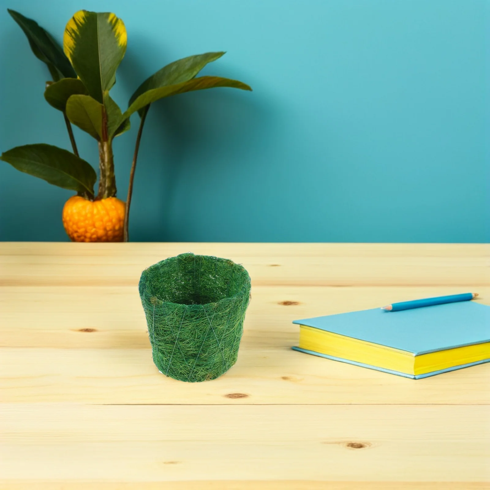 Natural Coir Fiber Succulent Planter Basket Breathable Indoor Flower Pot For Cactus House Plants Desktop Garden Plant
Natural Coir Fiber Succulent Planter Basket Breathable Indoor Flower Pot For Cactus House Plants Desktop Garden Plant