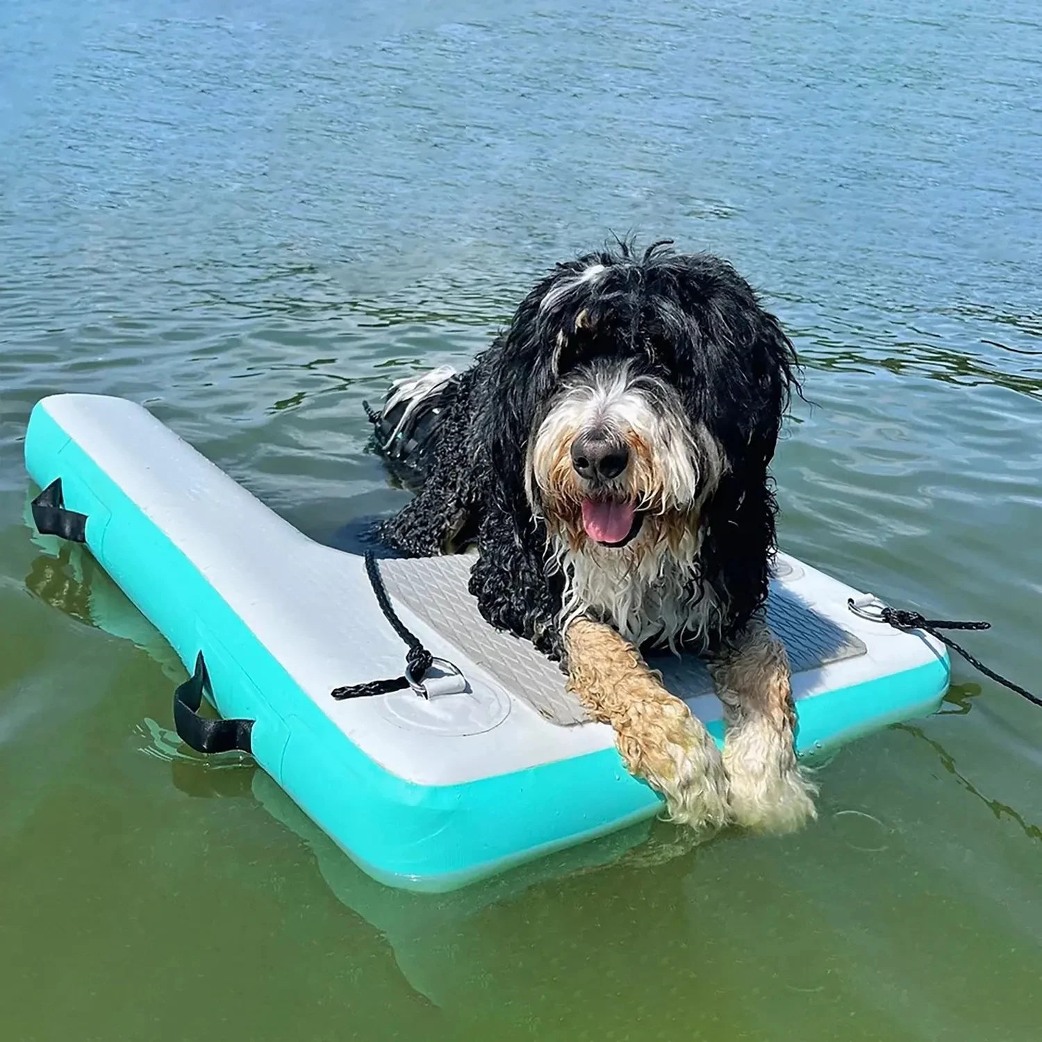 Inflatable Dog Dock Dog Raft Water Sports Floating Platform Swimming Pool Boat Dock Ramp Ladder Dog on Water Ladder Steps Pets 
Inflatable Dog Dock Dog Raft Water Sports Floating Platform Swimming Pool Boat Dock Ramp Ladder Dog on Water Ladder Steps Pets