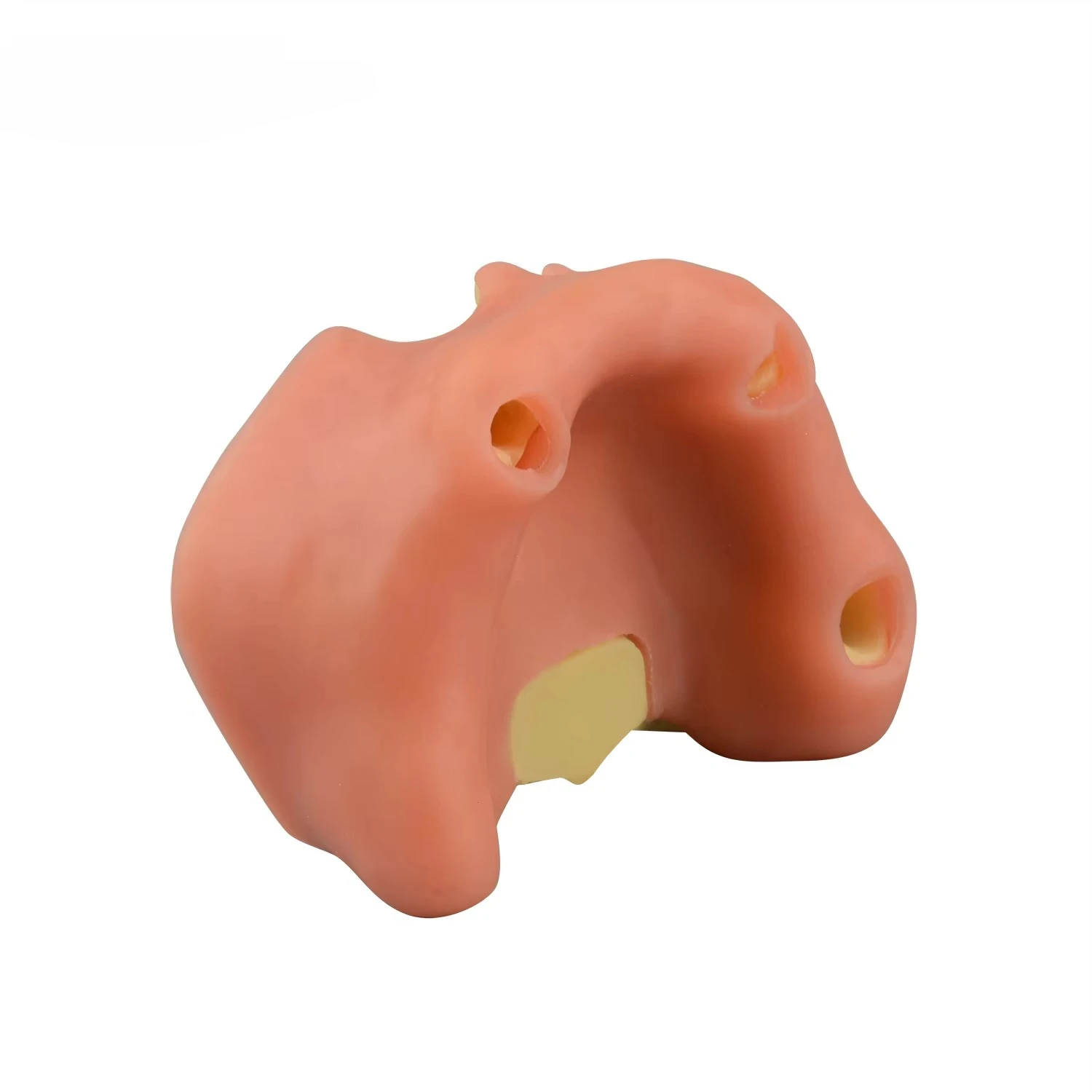 Maxillary Sinus Lift Dentals Implants Practice Mode
Maxillary Sinus Lift Dentals Implants Practice Mode