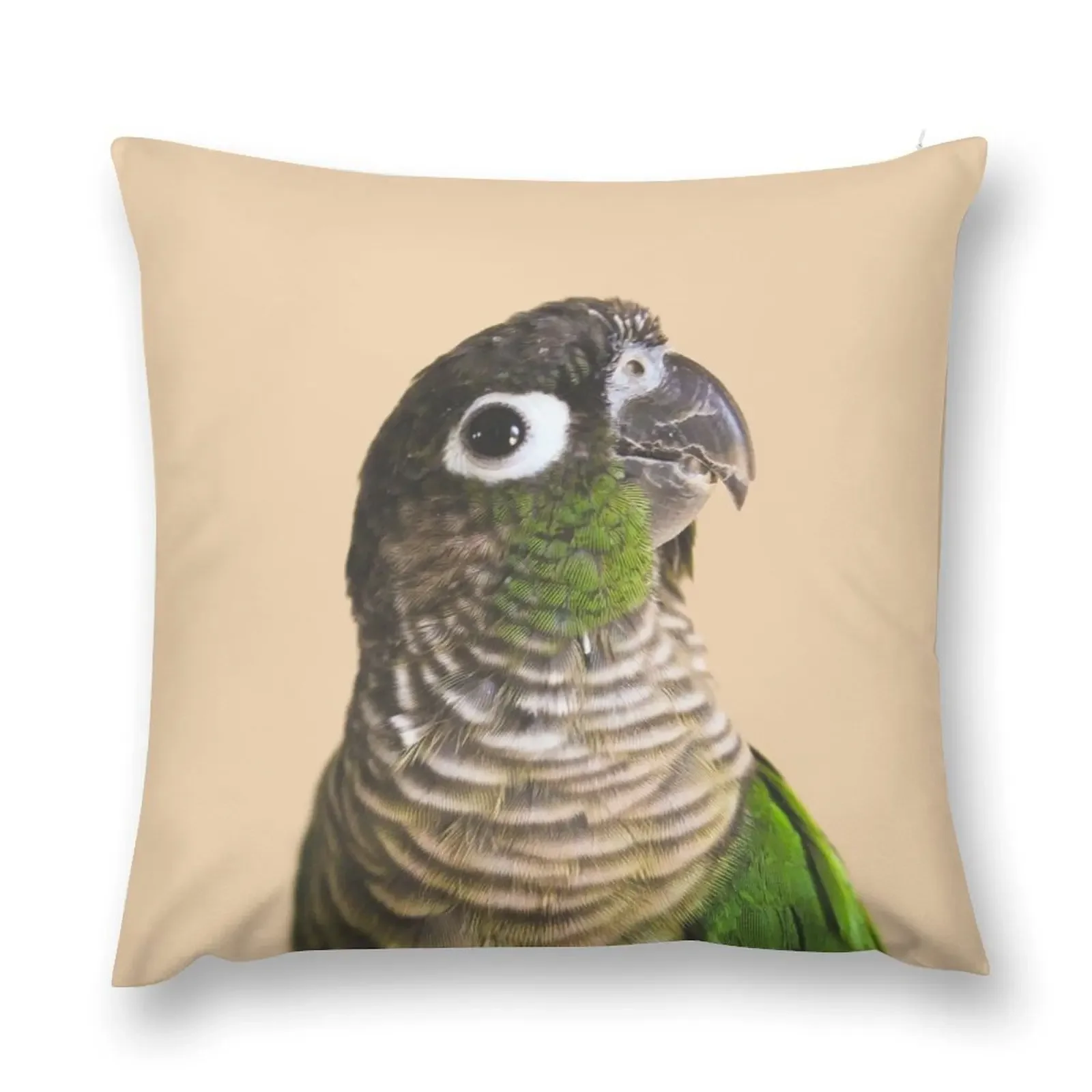 Green Cheek Conure Throw Pillow Custom Cushion sleeping pillows New year Sofa Pillow Cover pillow
Green Cheek Conure Throw Pillow Custom Cushion sleeping pillows New year Sofa Pillow Cover pillow