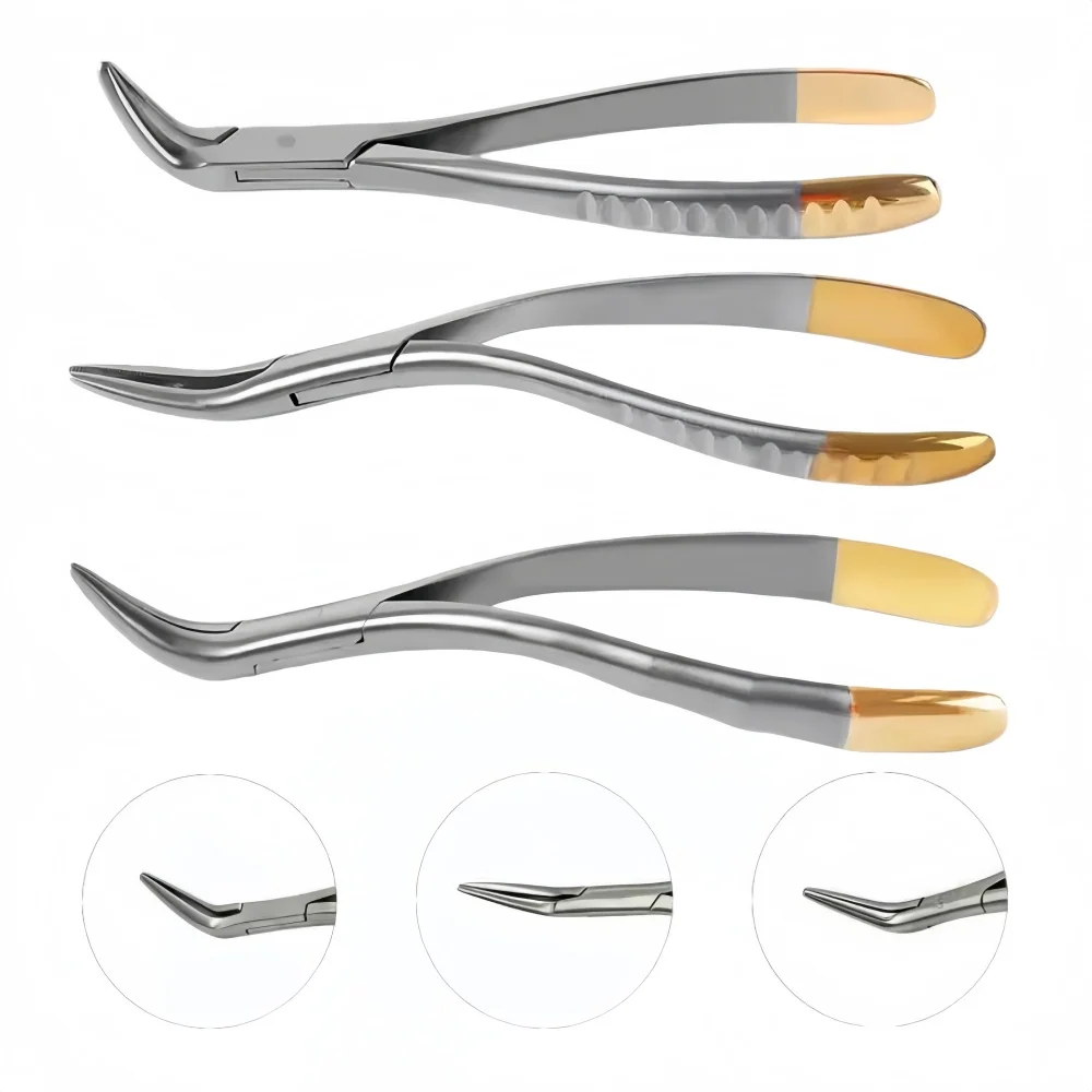 1pcs Dental Extraction Forceps Upper Lower Jaw Curved Teeth Wisdom Tooth Forceps Universal Stainless Steel Tooth Extraction Tool
1pcs Dental Extraction Forceps Upper Lower Jaw Curved Teeth Wisdom Tooth Forceps Universal Stainless Steel Tooth Extraction Tool