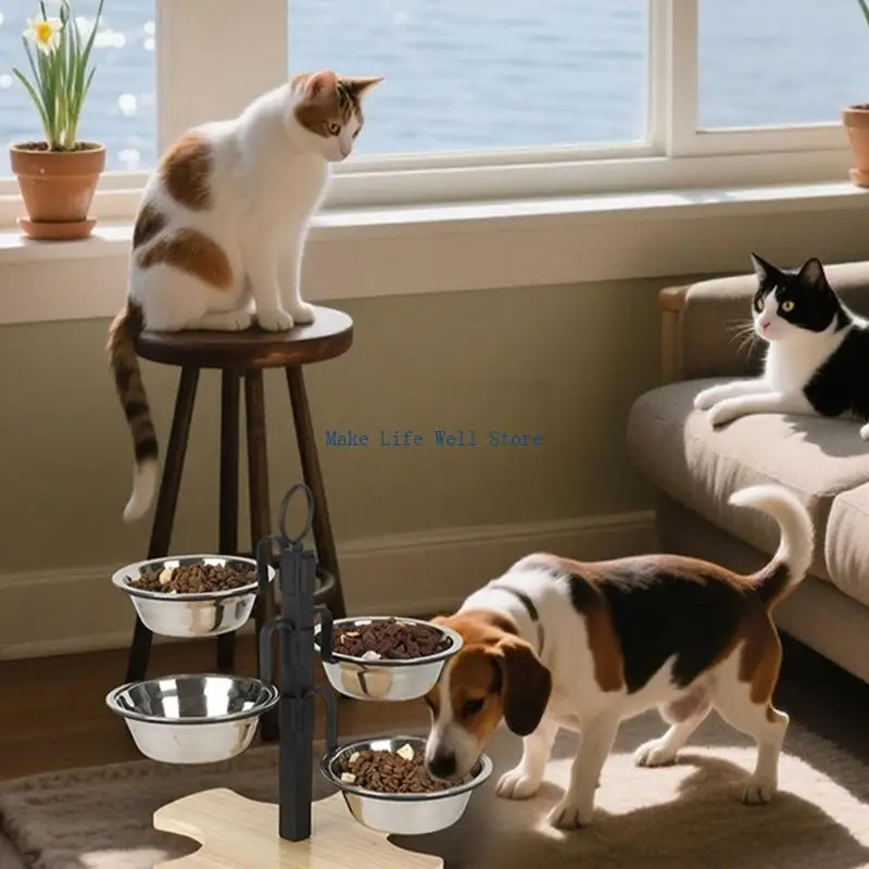 Ergonomic Elevated Dog Bowls Quadruple Bowl Dog Feeding Station Splash Proof
Ergonomic Elevated Dog Bowls Quadruple Bowl Dog Feeding Station Splash Proof