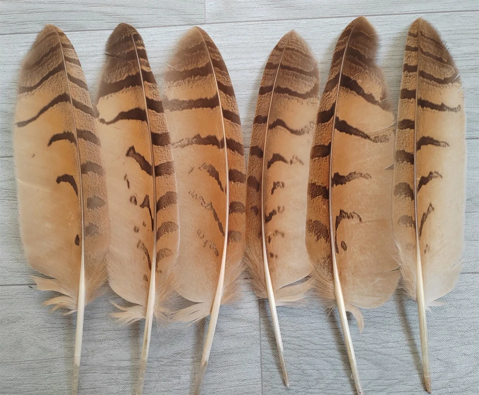 Оптовая продажа, 10 шт., качественные перья совы, заостренные перья совы, 10-14 дюймов/25-35 см, украшение для одежды своими руками, шляпы
Оптовая продажа, 10 шт., качественные перья совы, заостренные перья совы, 10-14 дюймов/25-35 см, украшение для одежды своими руками, шляпы