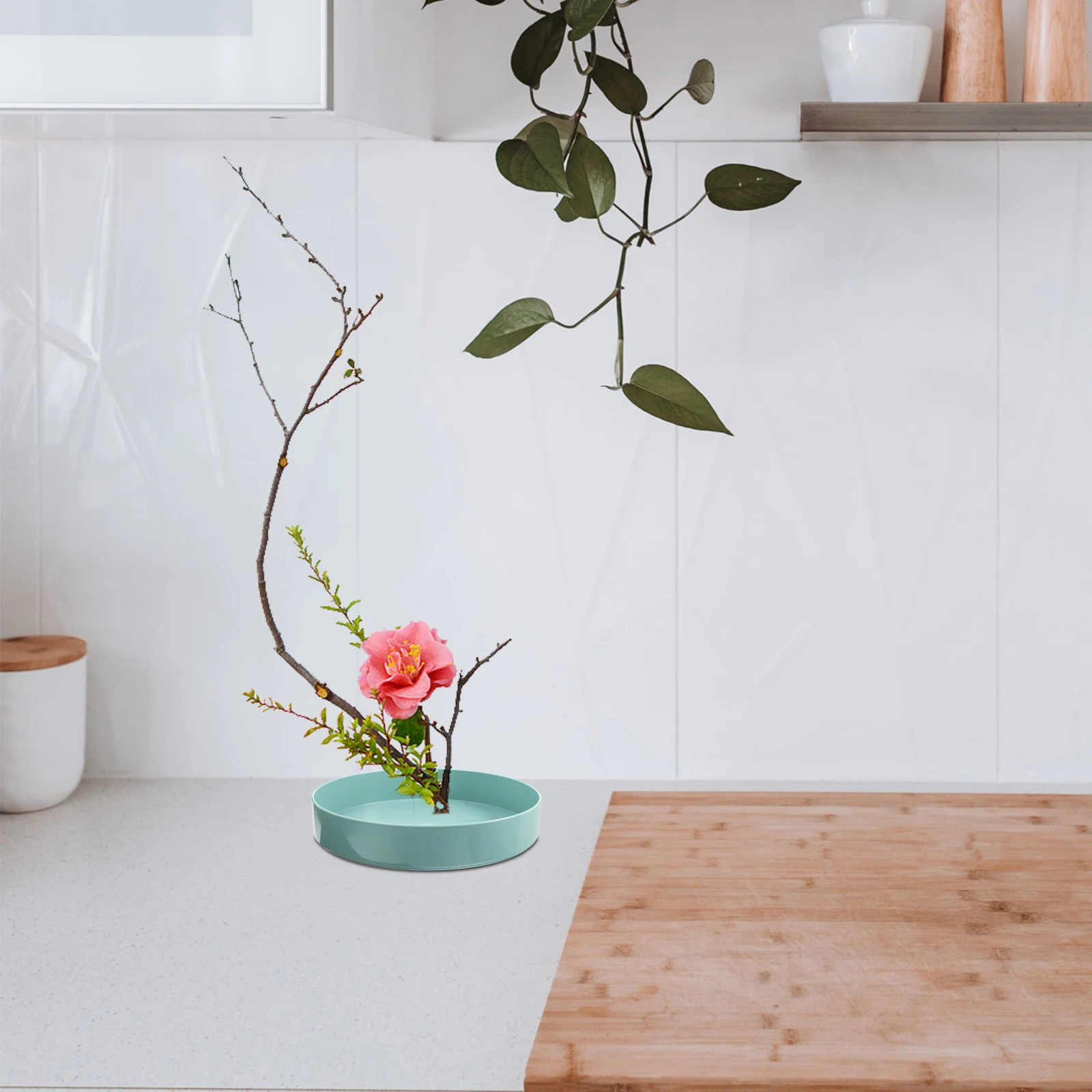 Flowerpot for Bookshelf Small Arrangement Durable Plastic Vases Centerpieces Home Gardening Balcony Decor Japanese Ikebana
Flowerpot for Bookshelf Small Arrangement Durable Plastic Vases Centerpieces Home Gardening Balcony Decor Japanese Ikebana