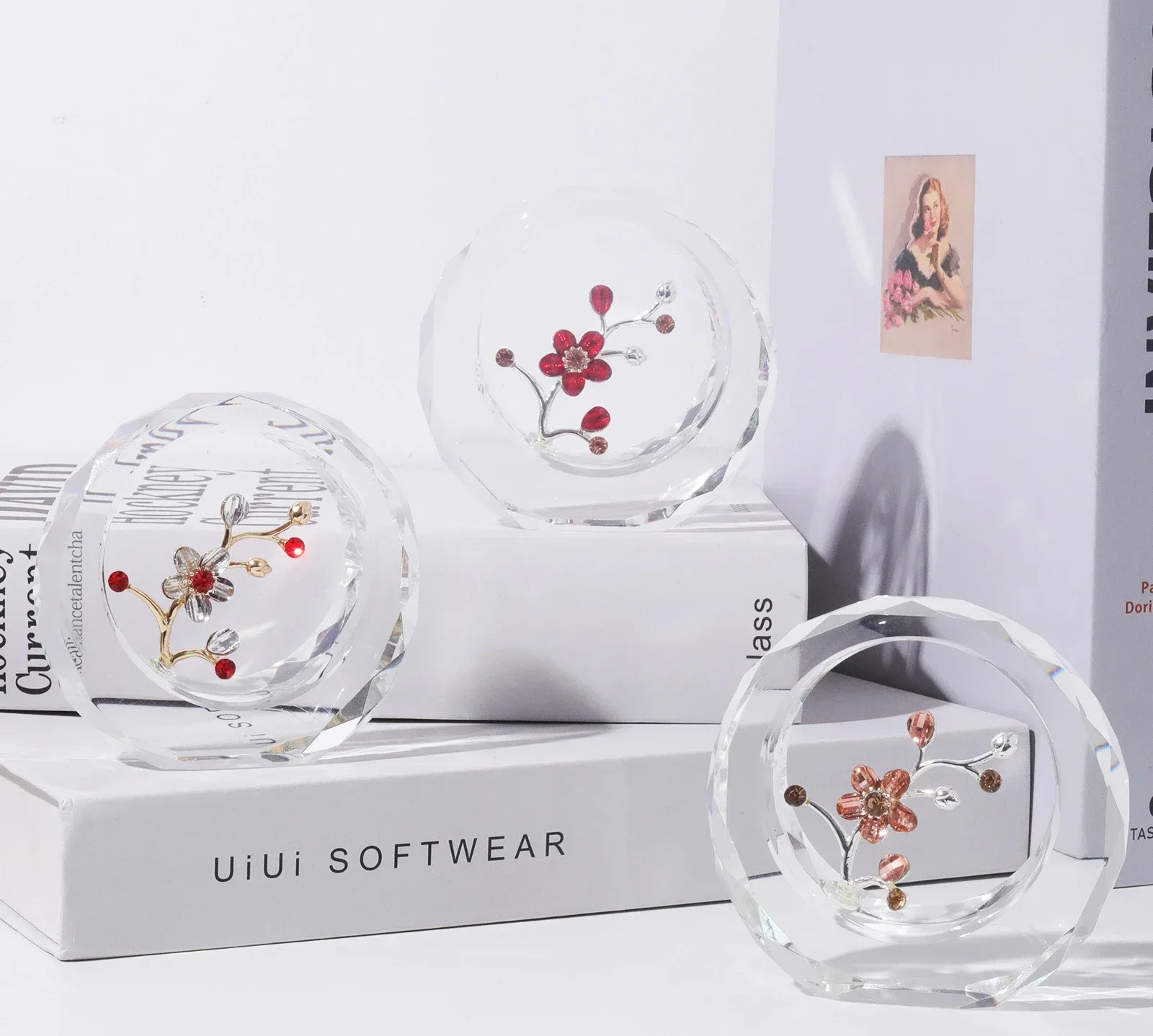Chinese Simple Vintage Style Crystal Crafts Desktop Office Ornament Christmas Gift Single Plum Rose Decorative Figurines
Chinese Simple Vintage Style Crystal Crafts Desktop Office Ornament Christmas Gift Single Plum Rose Decorative Figurines
