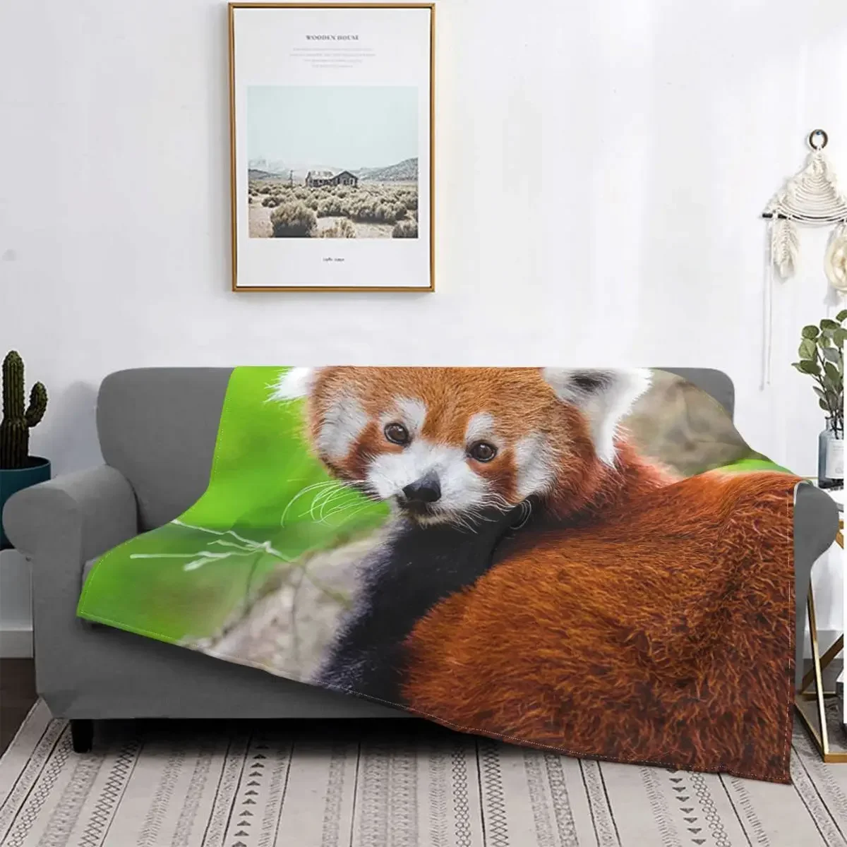 Red Panda Baby Blanket Fleece Spring Autumn Animal Cute Multi-function Ultra-Soft Throw for Bedding Office Plush Thin Quilt
Red Panda Baby Blanket Fleece Spring Autumn Animal Cute Multi-function Ultra-Soft Throw for Bedding Office Plush Thin Quilt
