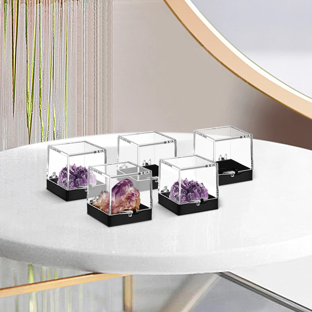 4pcs Clear Display Boxes Containers Reusable Sample Storage Boxes Transparent Plastic Desktop Mineral Display Case Specimen
4pcs Clear Display Boxes Containers Reusable Sample Storage Boxes Transparent Plastic Desktop Mineral Display Case Specimen