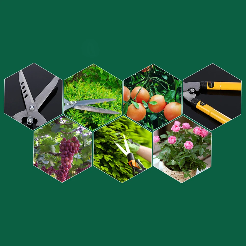 Professional Garden Pruning Shears High-Grade Steel Extendable Handle Ergonomic Design for Branches Hedges Orchards Small Trees
Professional Garden Pruning Shears High-Grade Steel Extendable Handle Ergonomic Design for Branches Hedges Orchards Small Trees